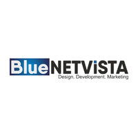 Blue Net Vista logo