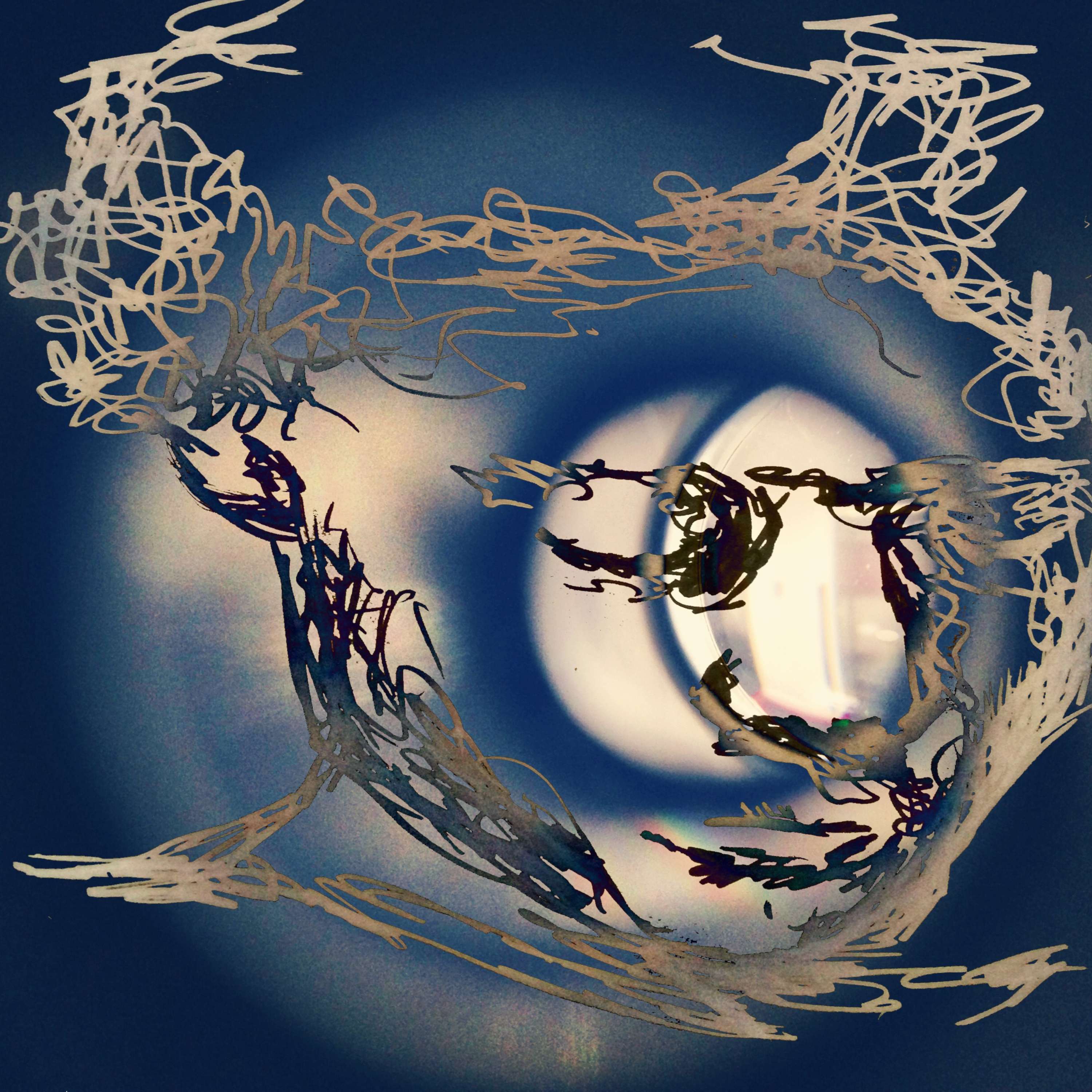 Fine Art by Jenny Rygalska