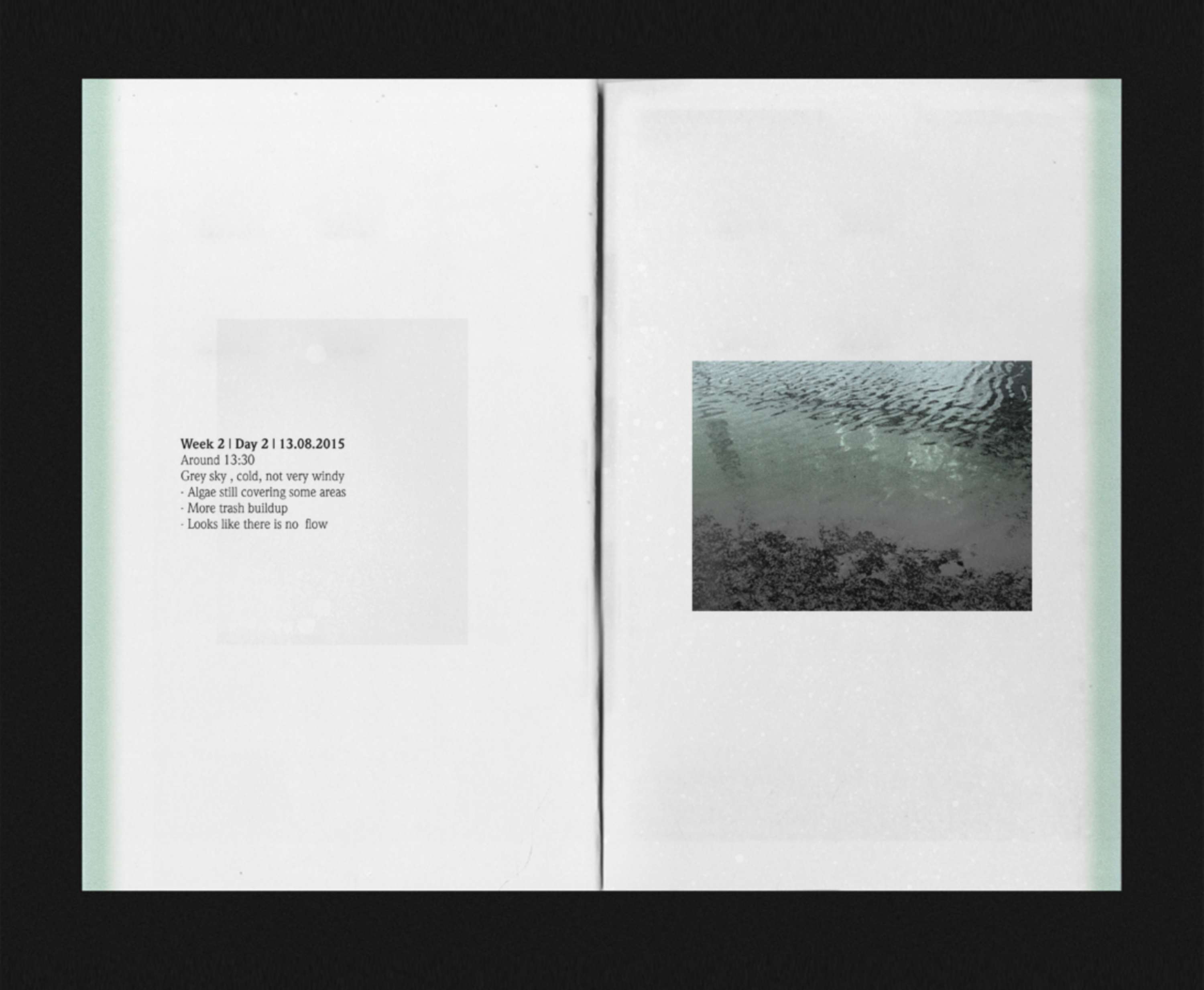 Observations by Yasmina Aoun