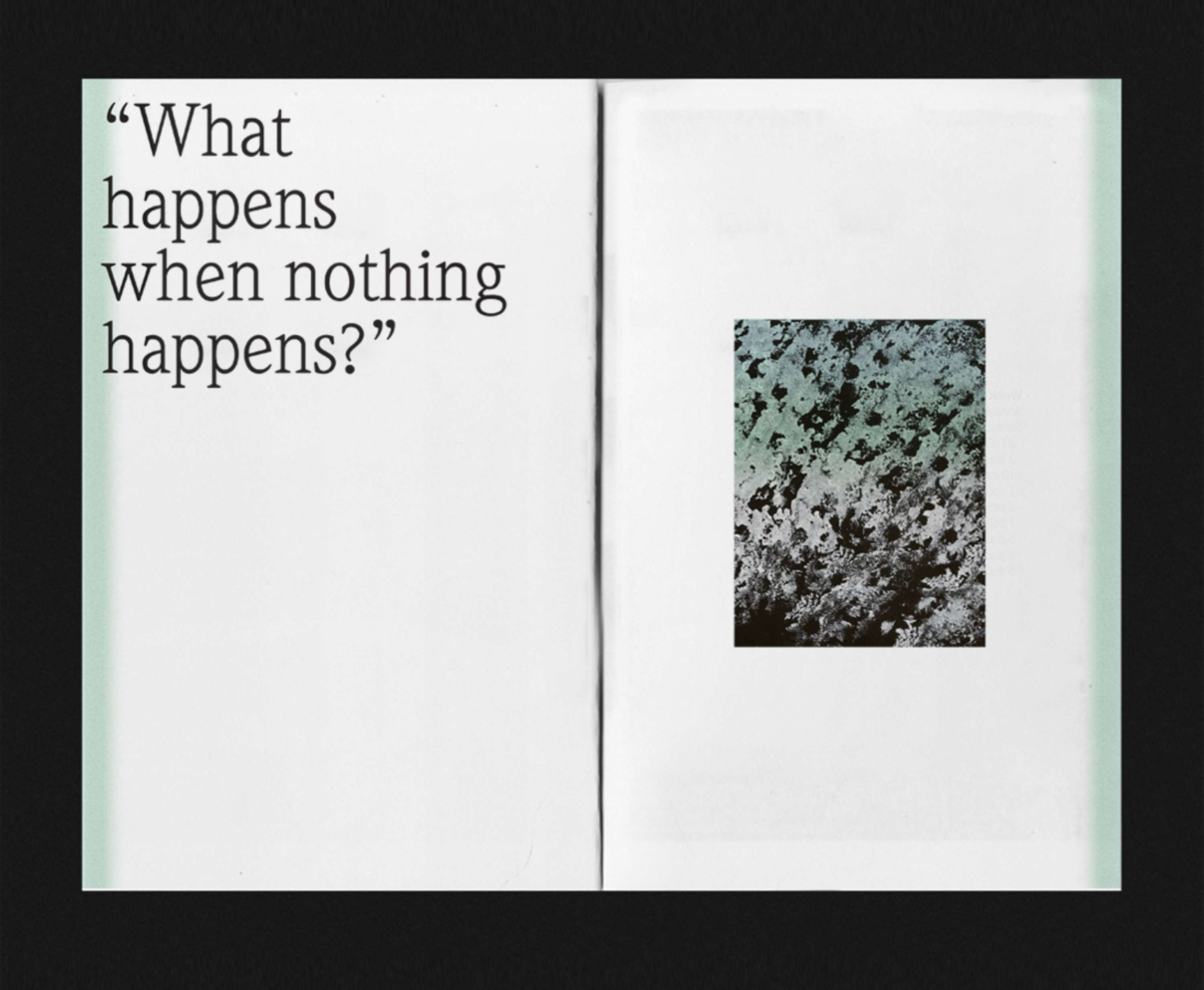 Observations by Yasmina Aoun