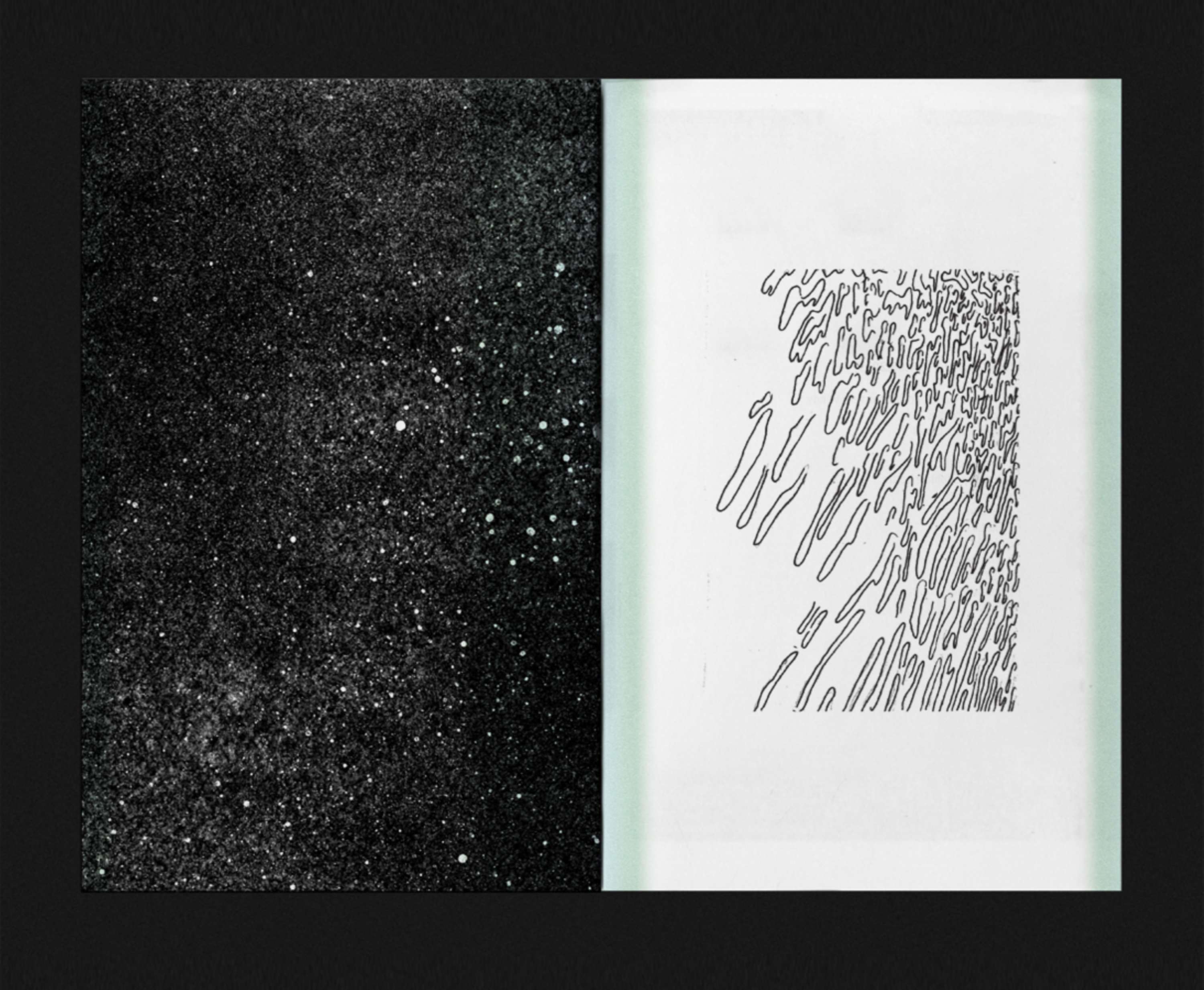 Observations by Yasmina Aoun