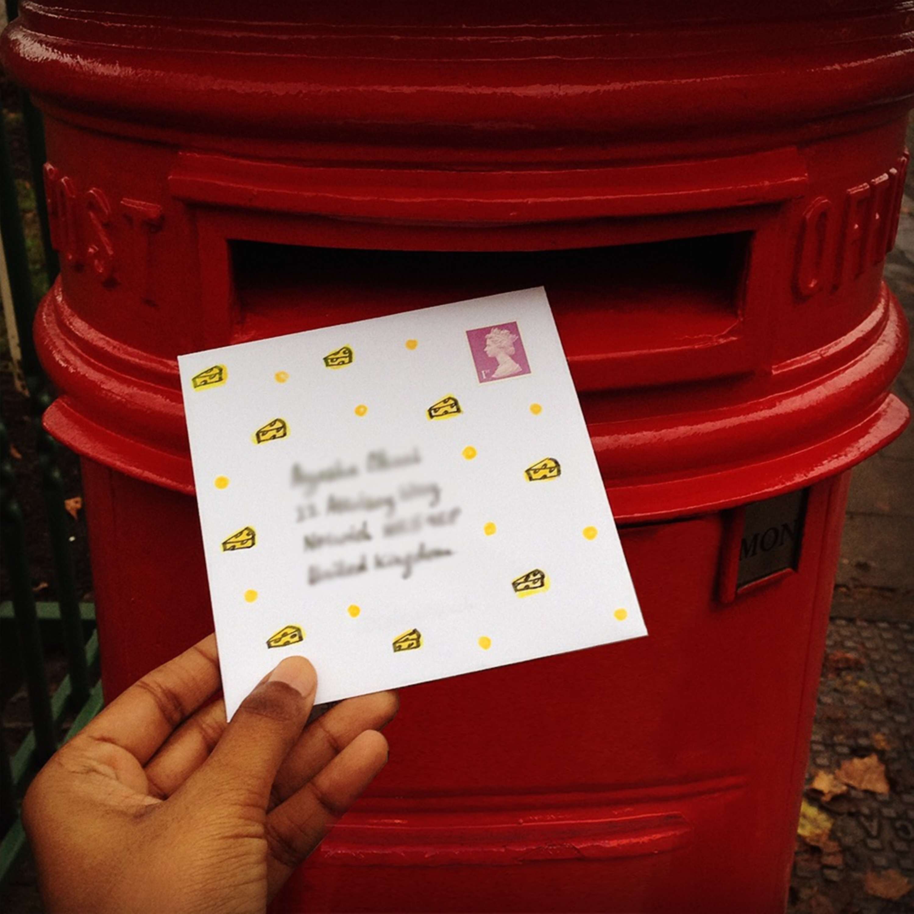 Snail Mail My Email by Anisa Hamid
