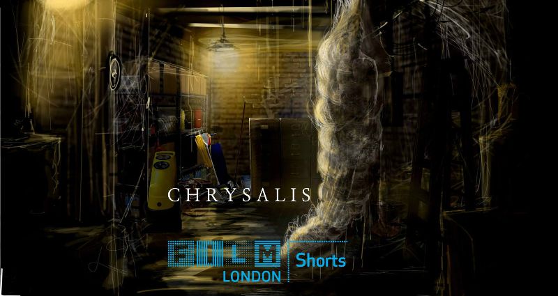 Chrysalis by Kelly van Osch