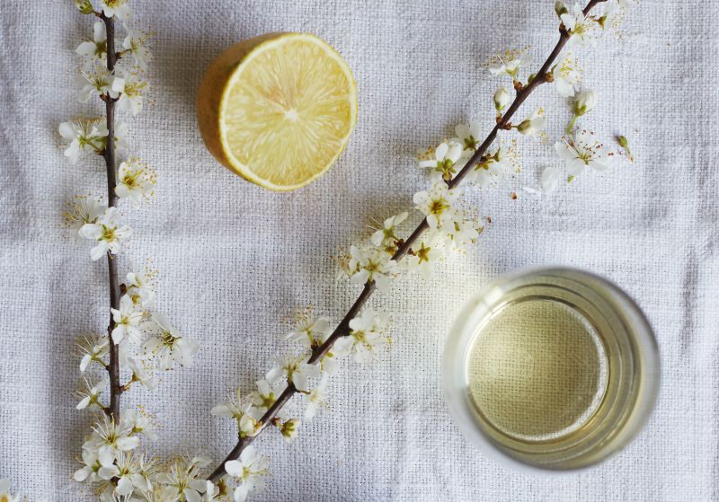Cono Sur (COOK magazine x the Guardian) by Lucy Johnston
