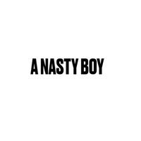 A Nasty Boy logo