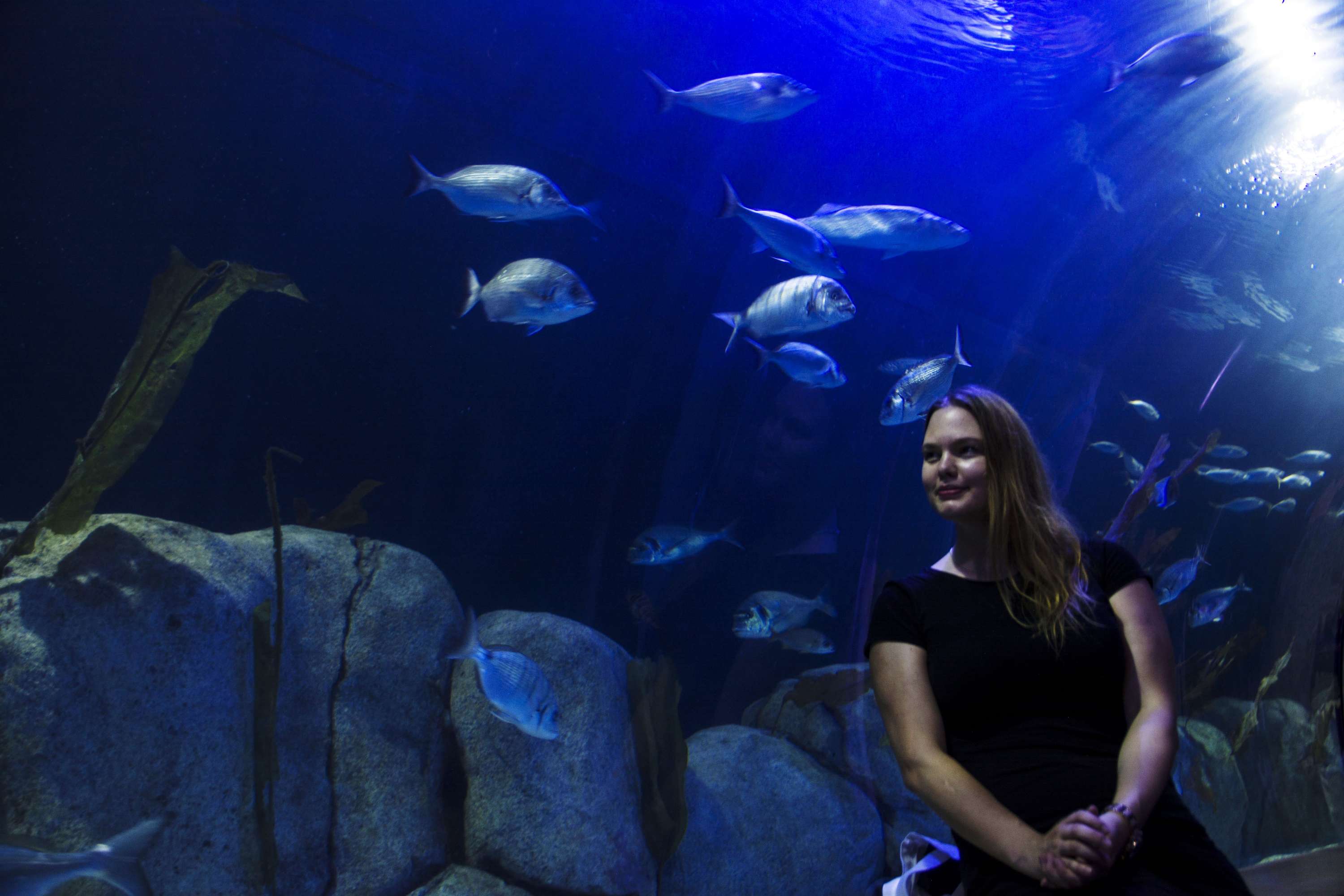 Exploring Valencia - Oceanographic by Lubica Placha