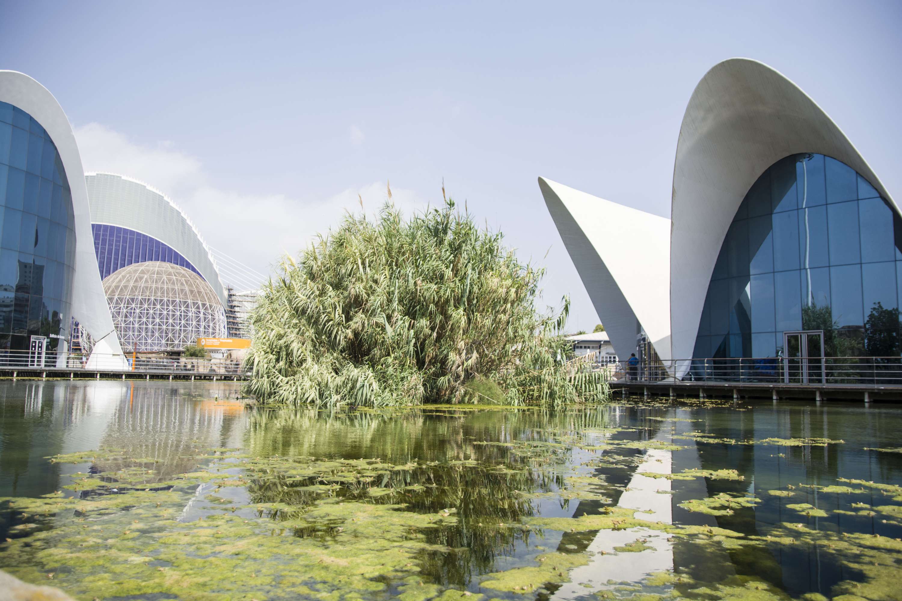 Exploring Valencia - Oceanographic by Lubica Placha