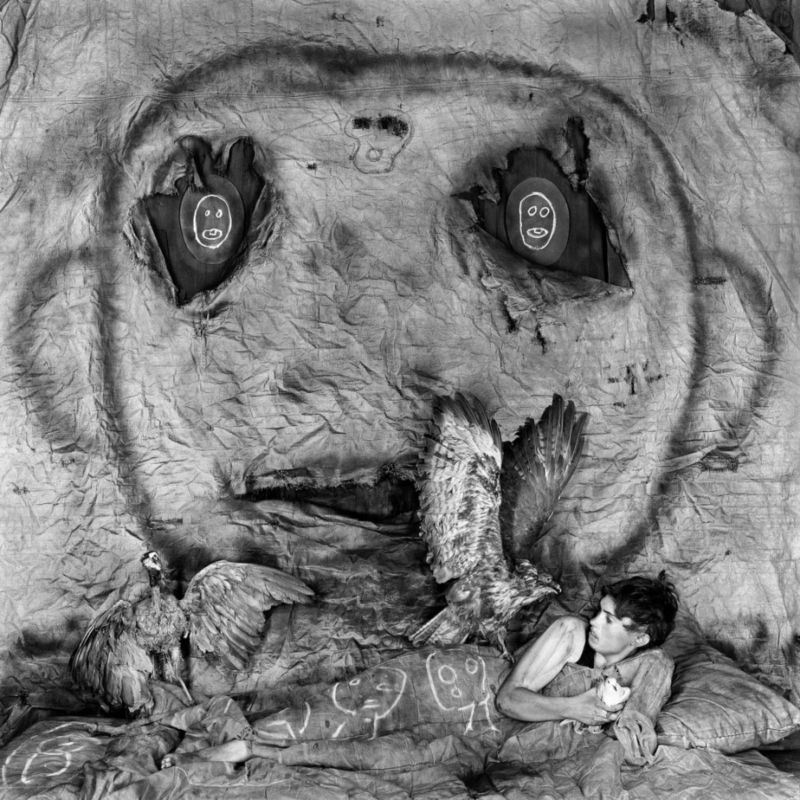 Roger Ballen - Asylum of the Birds by Cassey Delissen