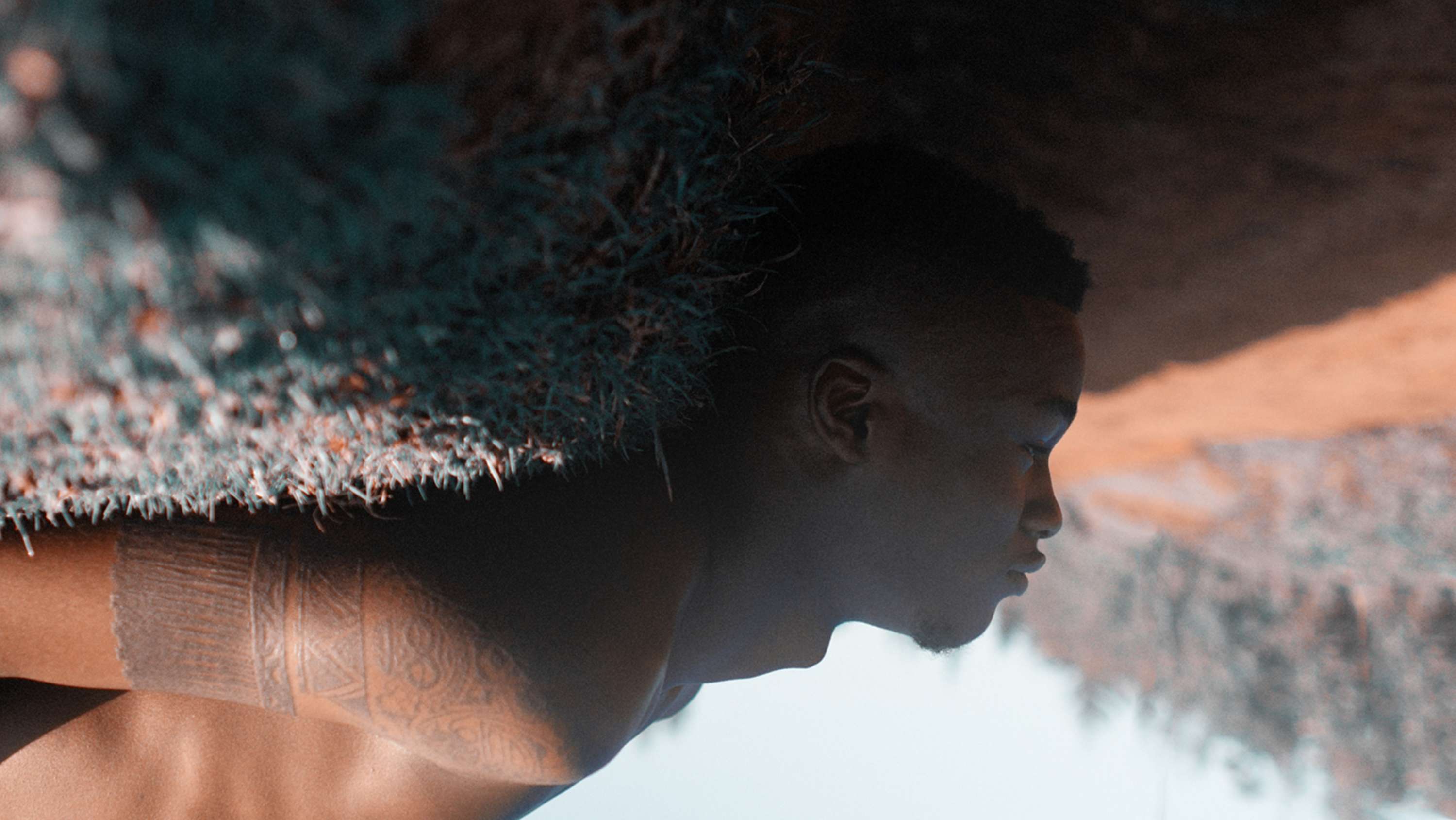 When We Are/ When We Are Not by The Nest Collective