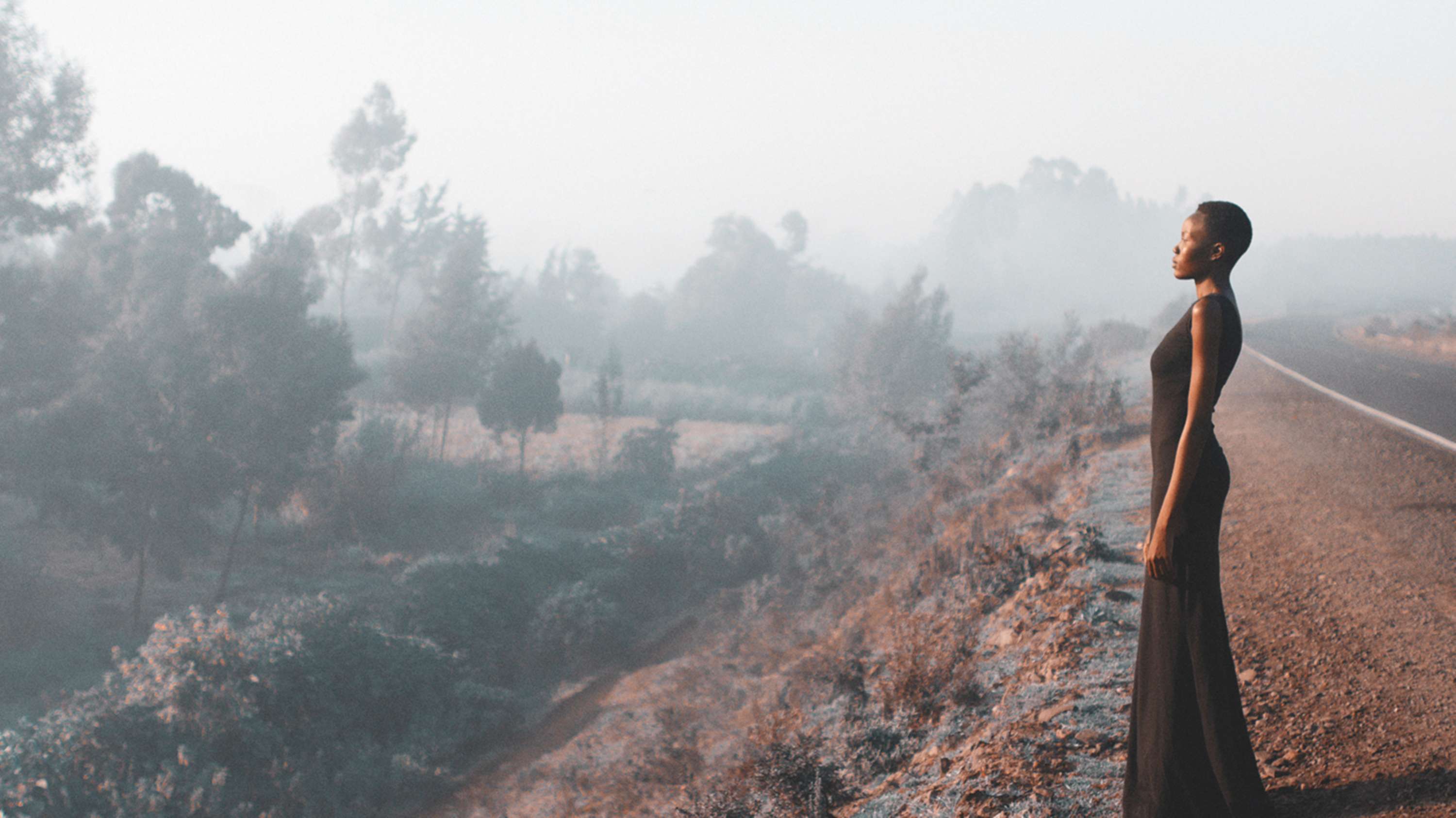 When We Are/ When We Are Not by The Nest Collective