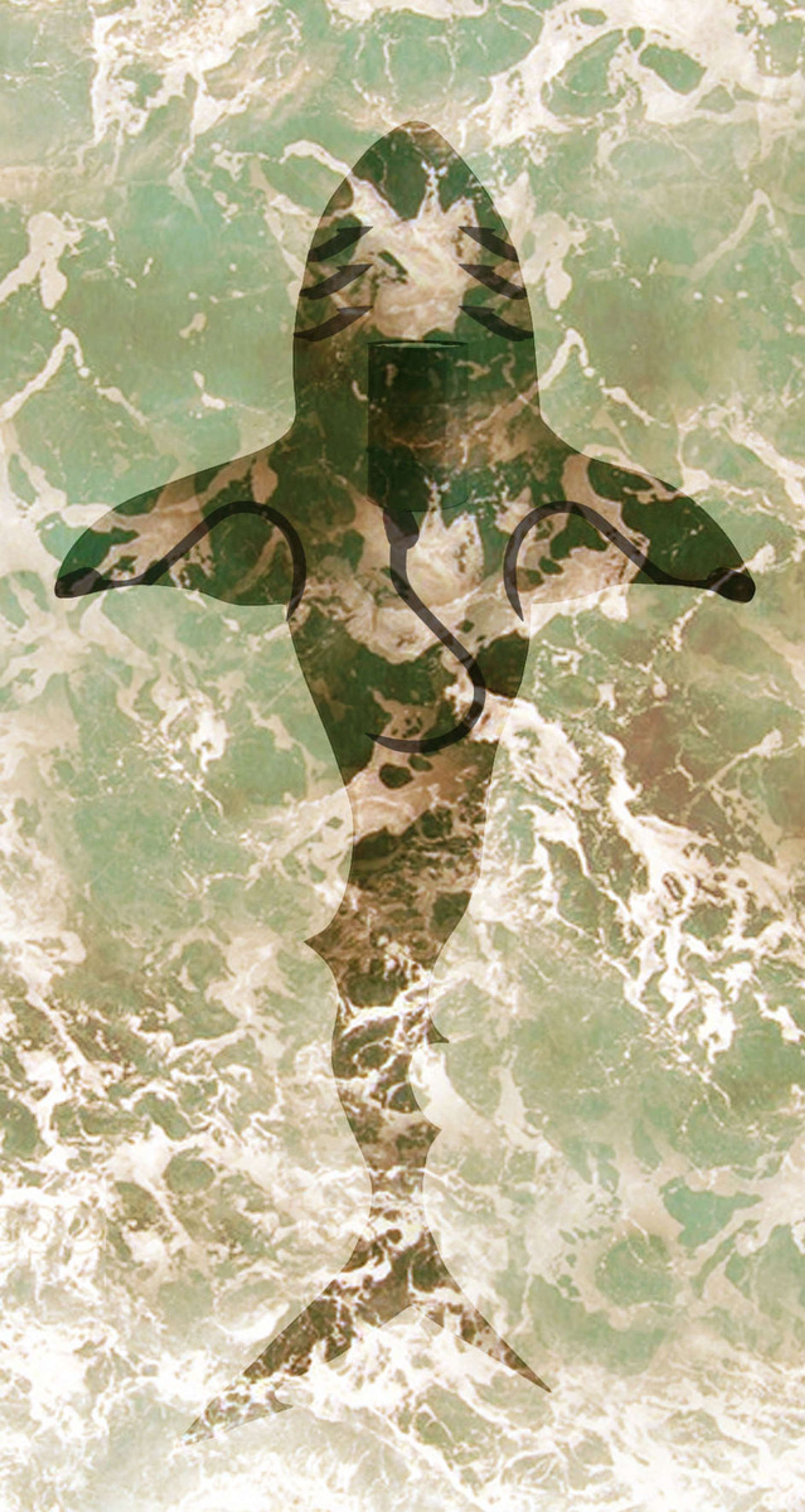 shark culls editorial by Daniel O'Gorman