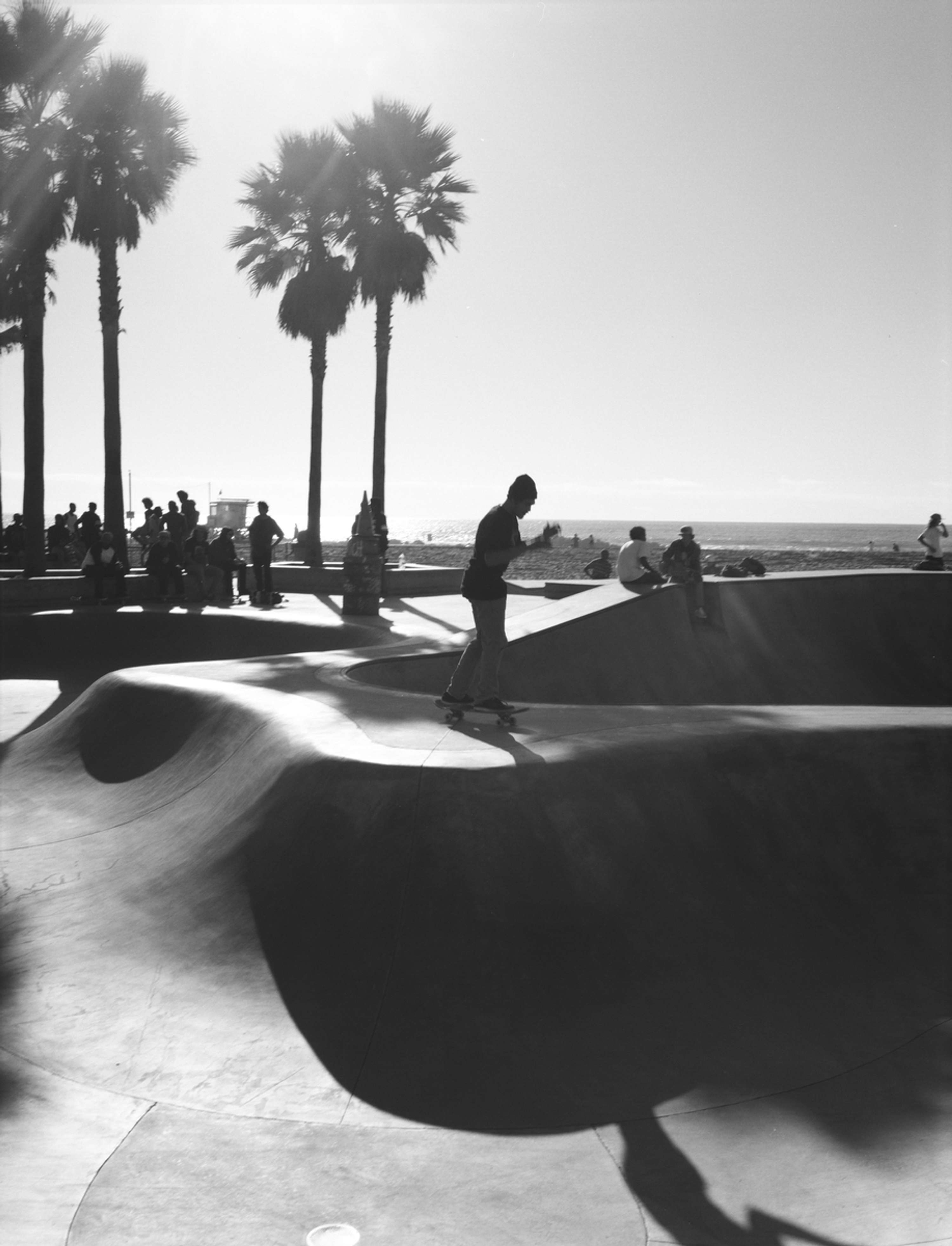 L.A. Rollers by Mario Guarino