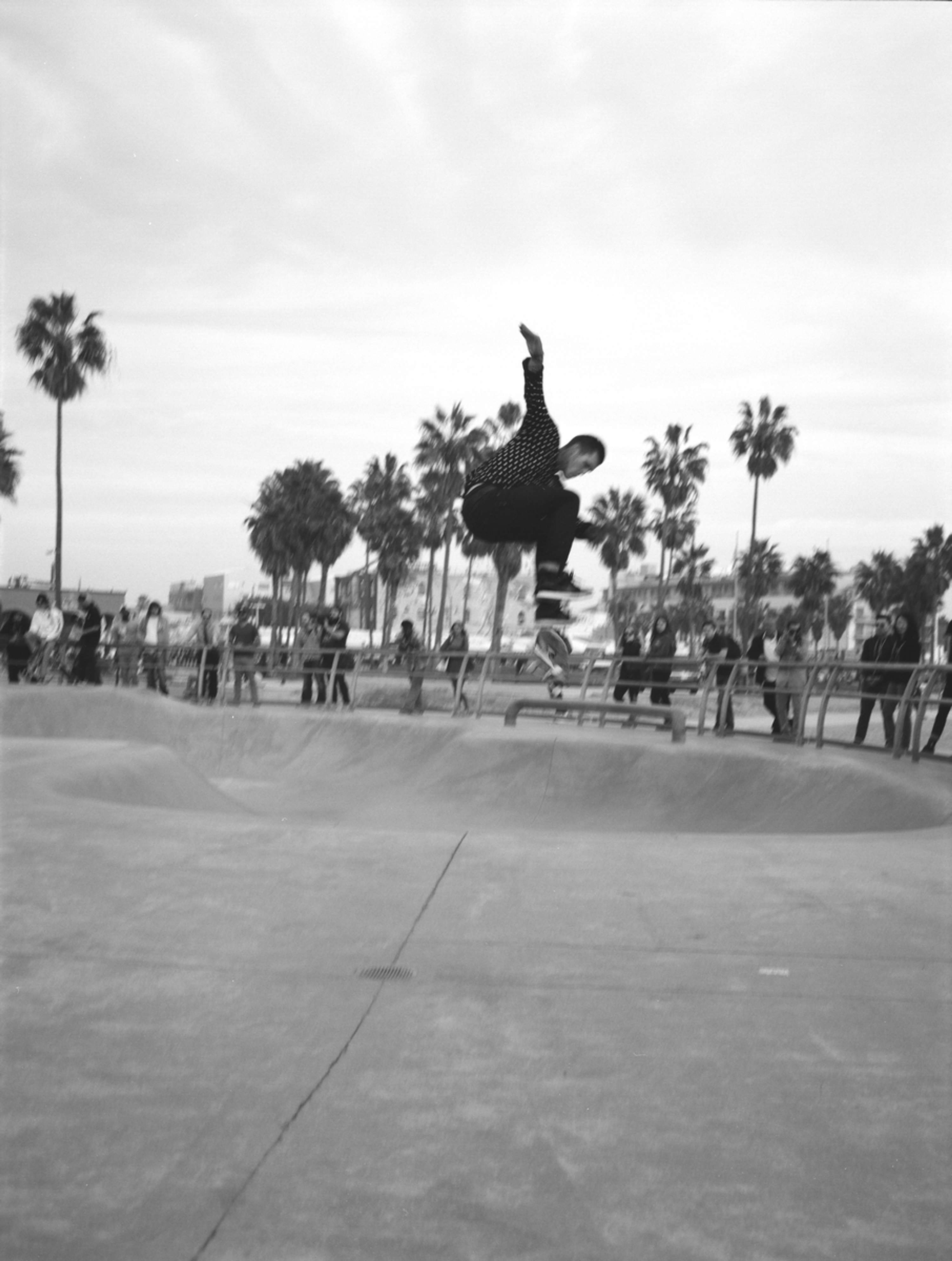 L.A. Rollers by Mario Guarino