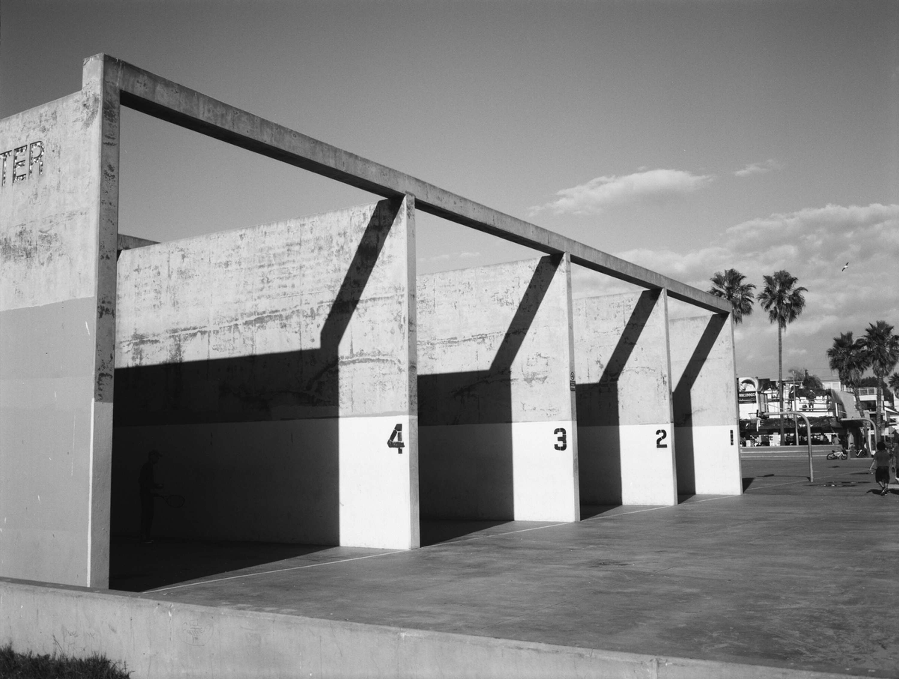 L.A. Rollers by Mario Guarino