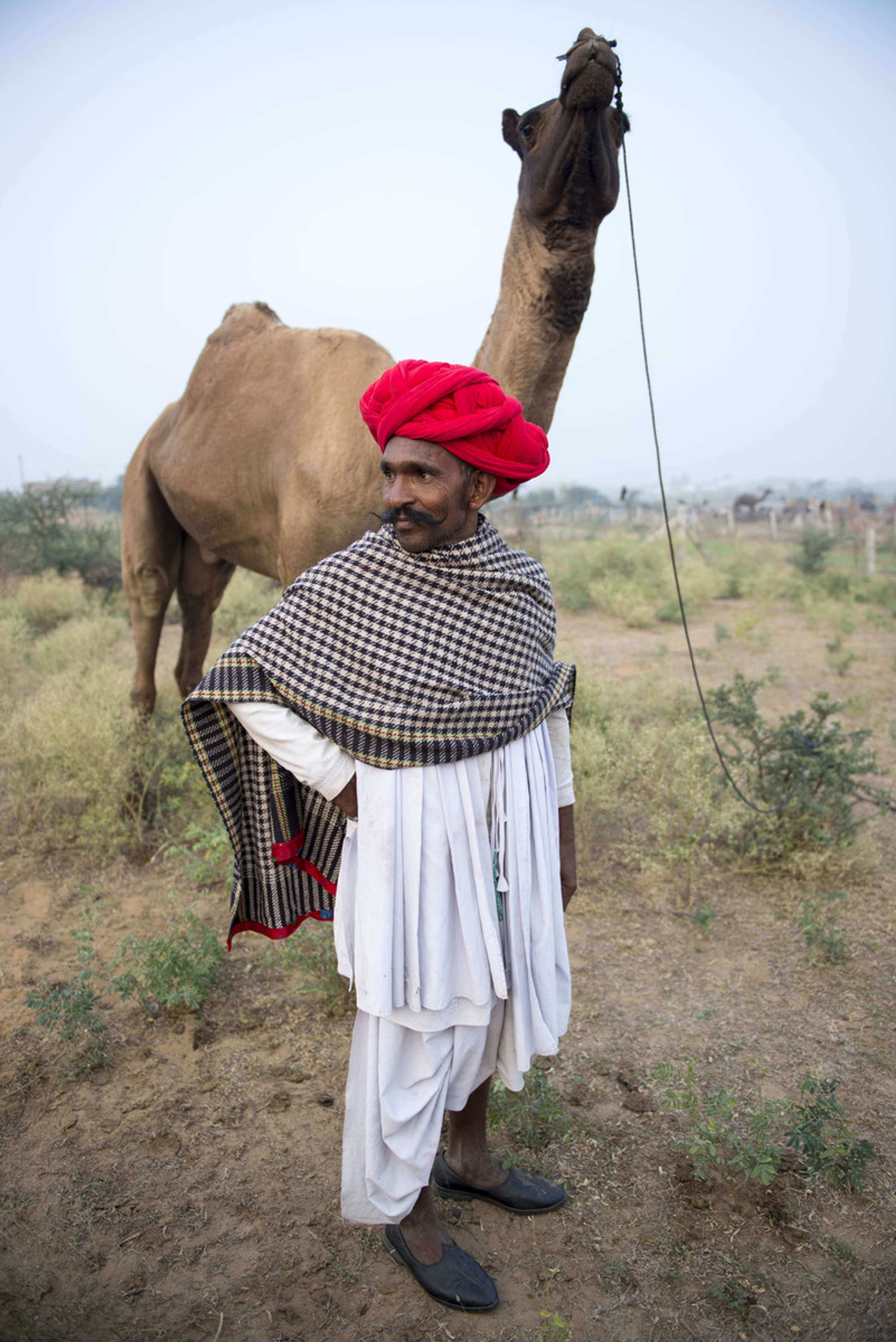 Camel Mela Pushkar by Elisa Garcia-Huidobro