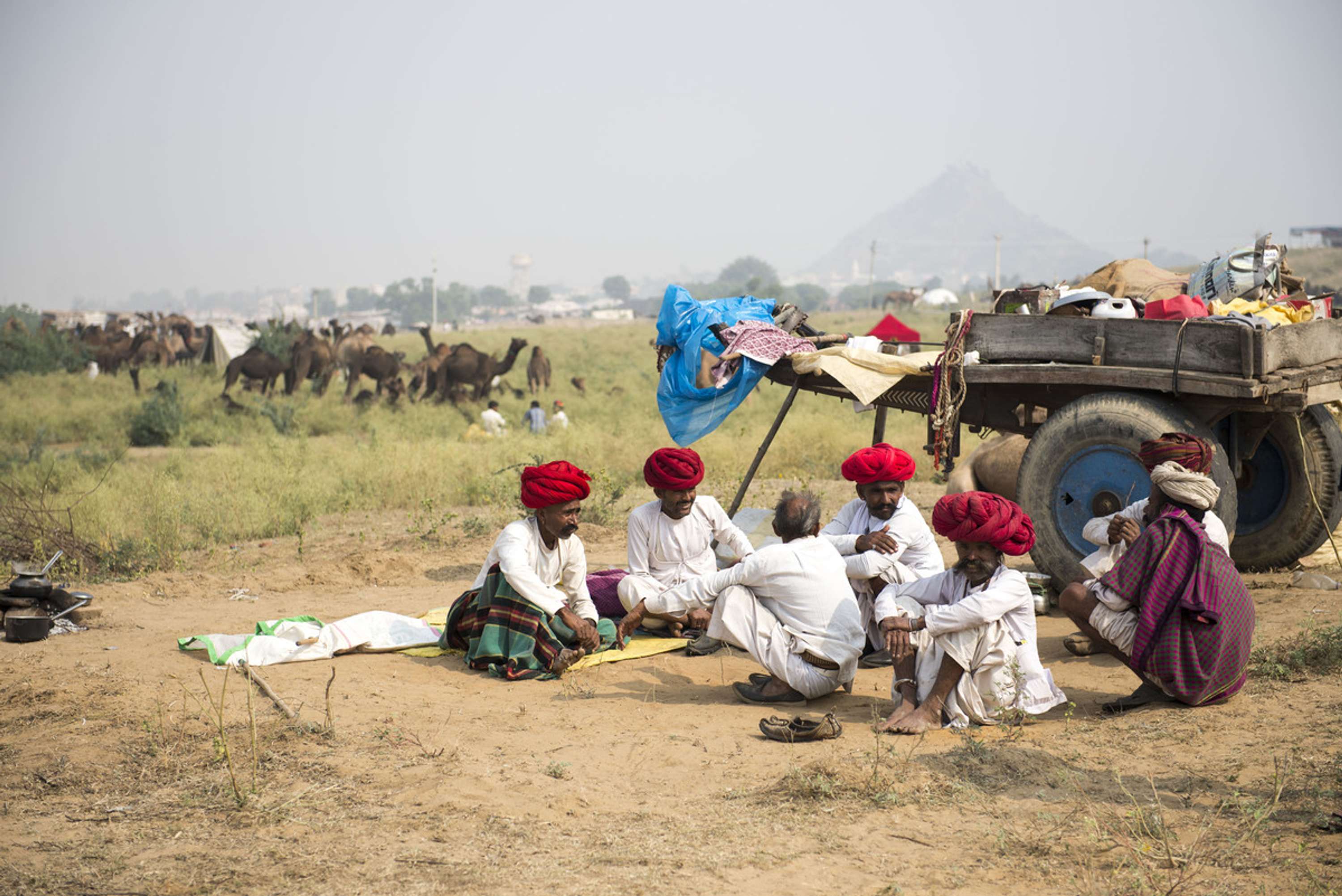 Camel Mela Pushkar by Elisa Garcia-Huidobro