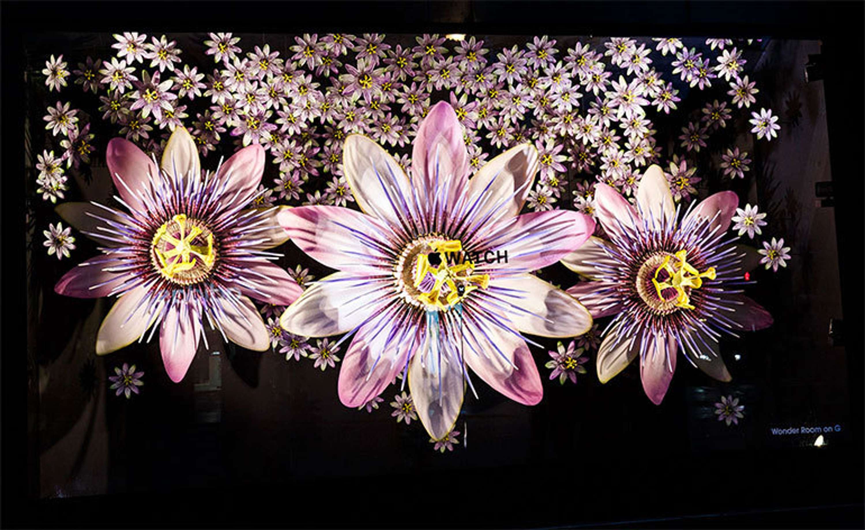 In Bloom by Selfridges