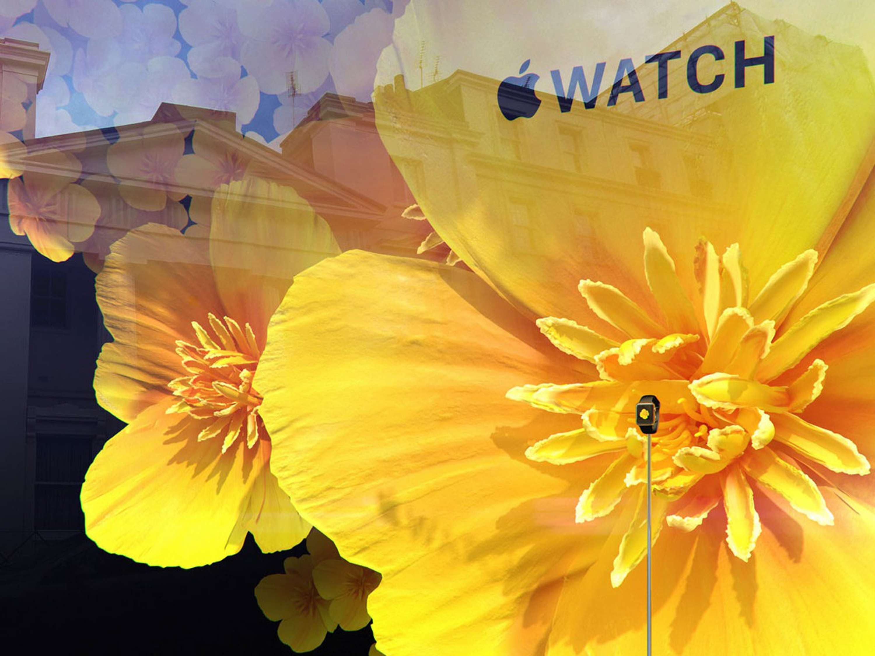 In Bloom by Selfridges