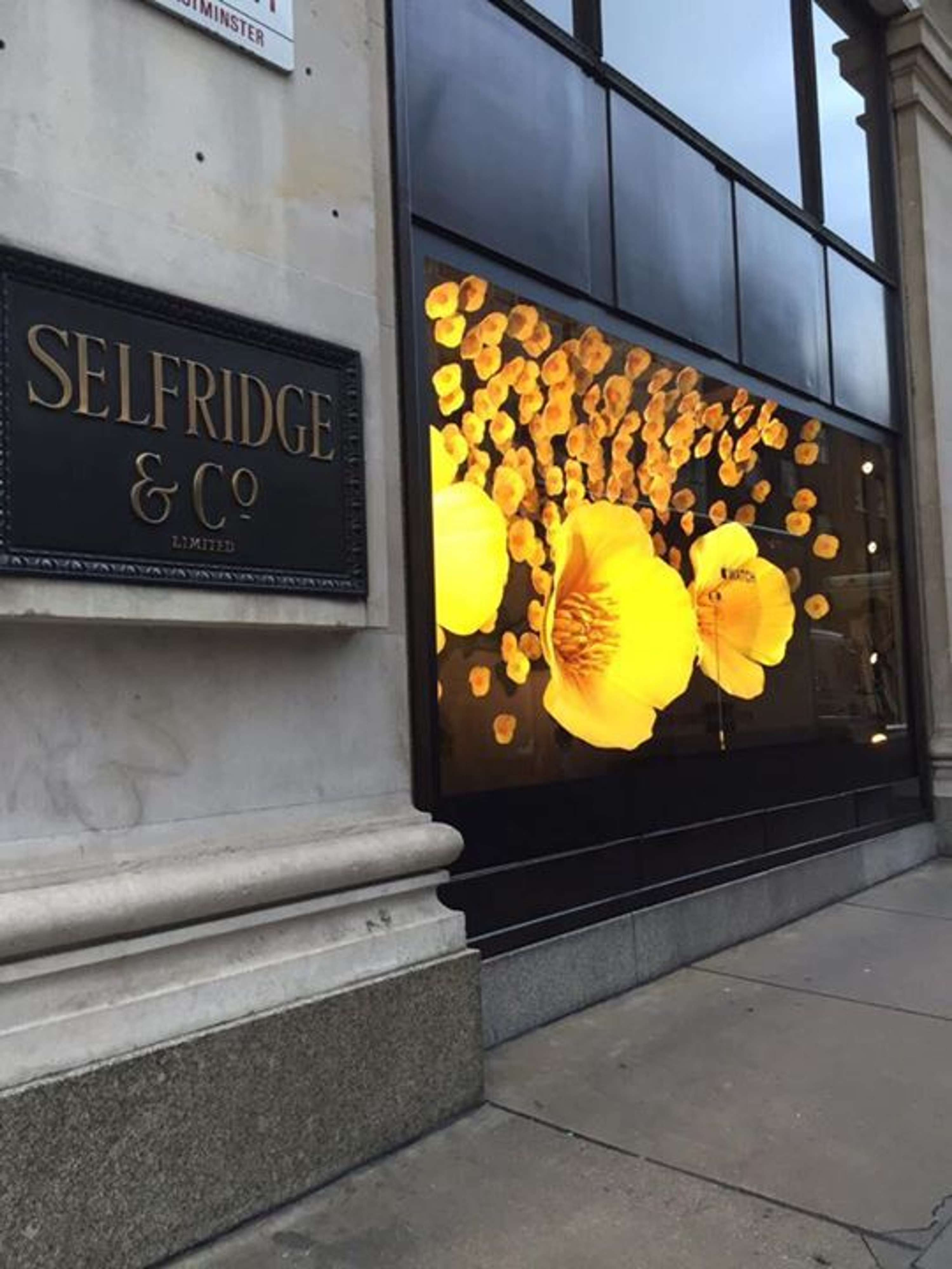 In Bloom by Selfridges