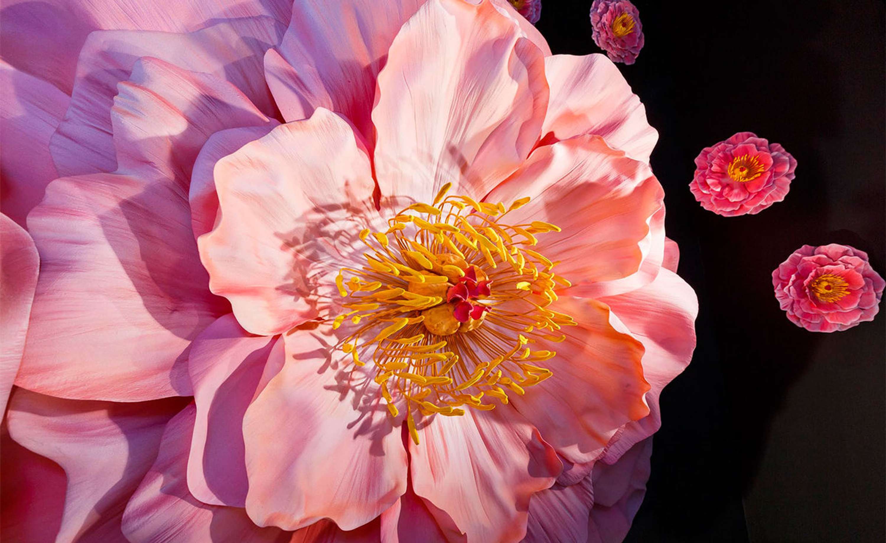 In Bloom by Selfridges