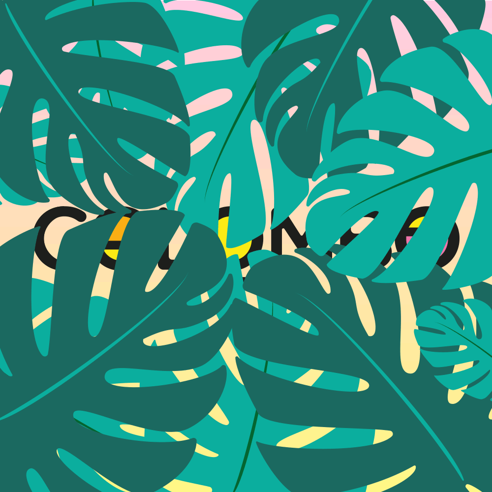 Colombo - City Branding by Andy Tharagonnet