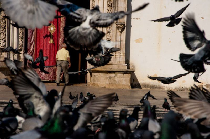 Travel Photography -Portugal by Tania Gomes