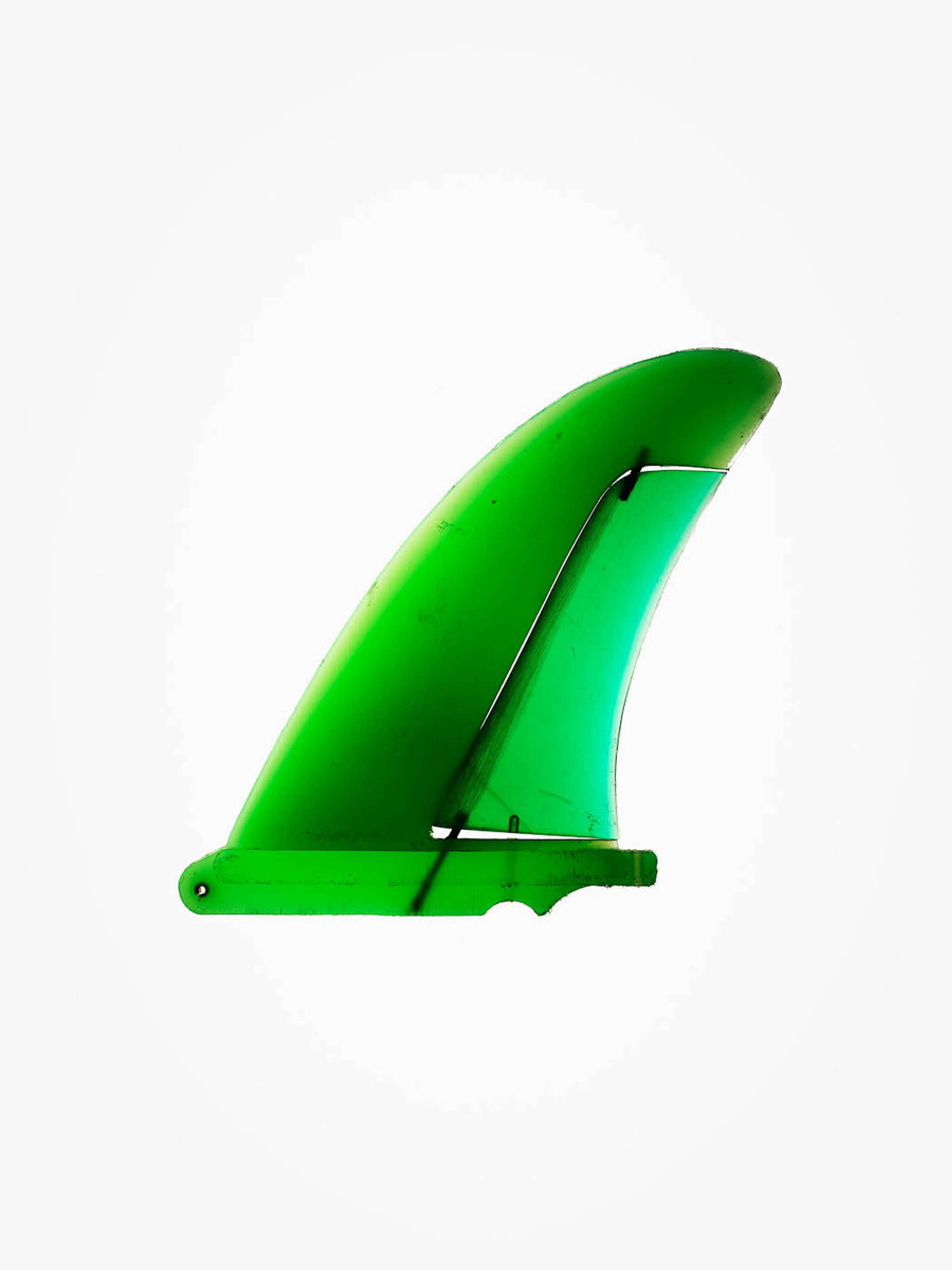 Fin Project / Timothy Hogan by Morgan Lockyer
