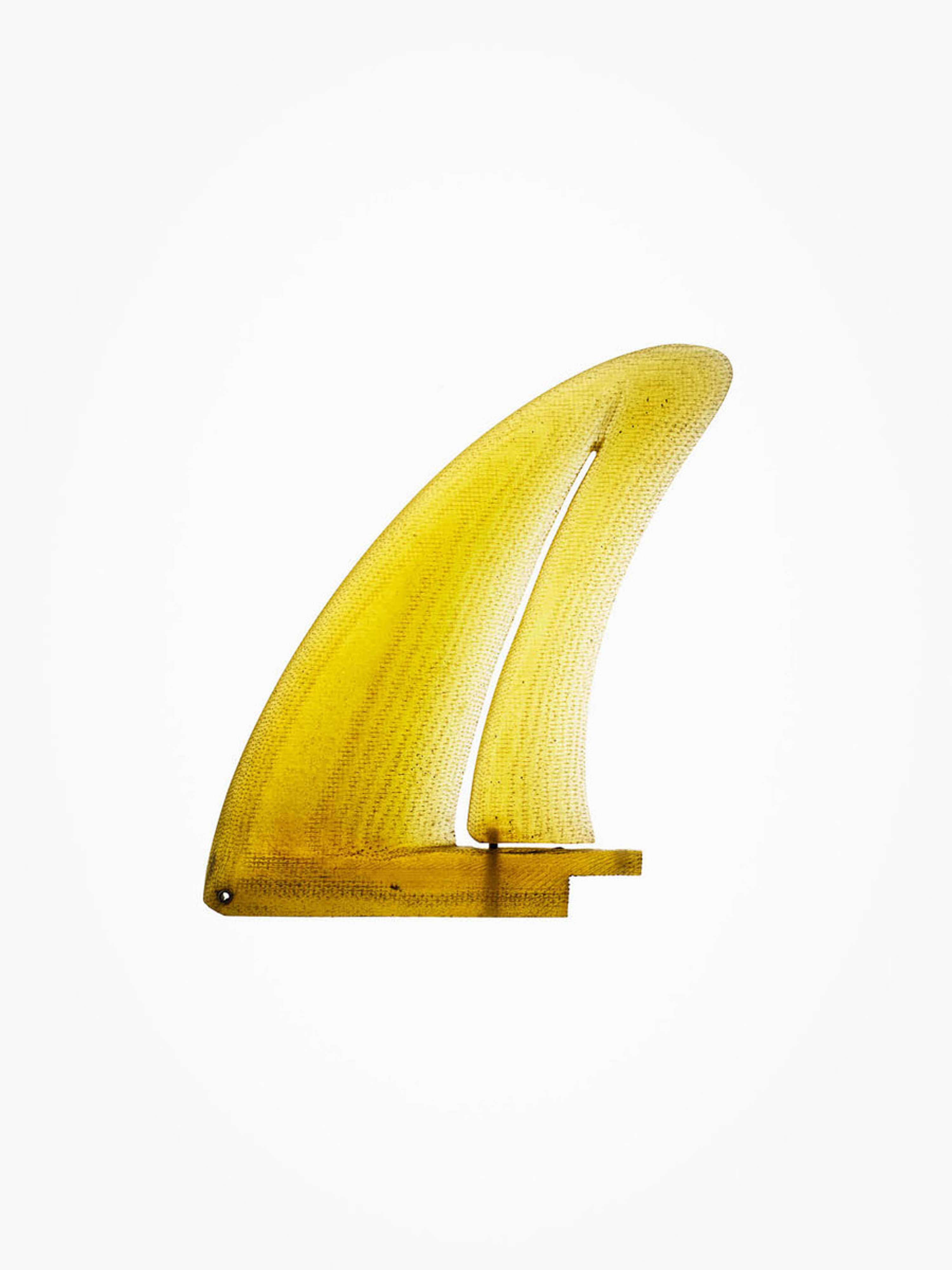 Fin Project / Timothy Hogan by Morgan Lockyer