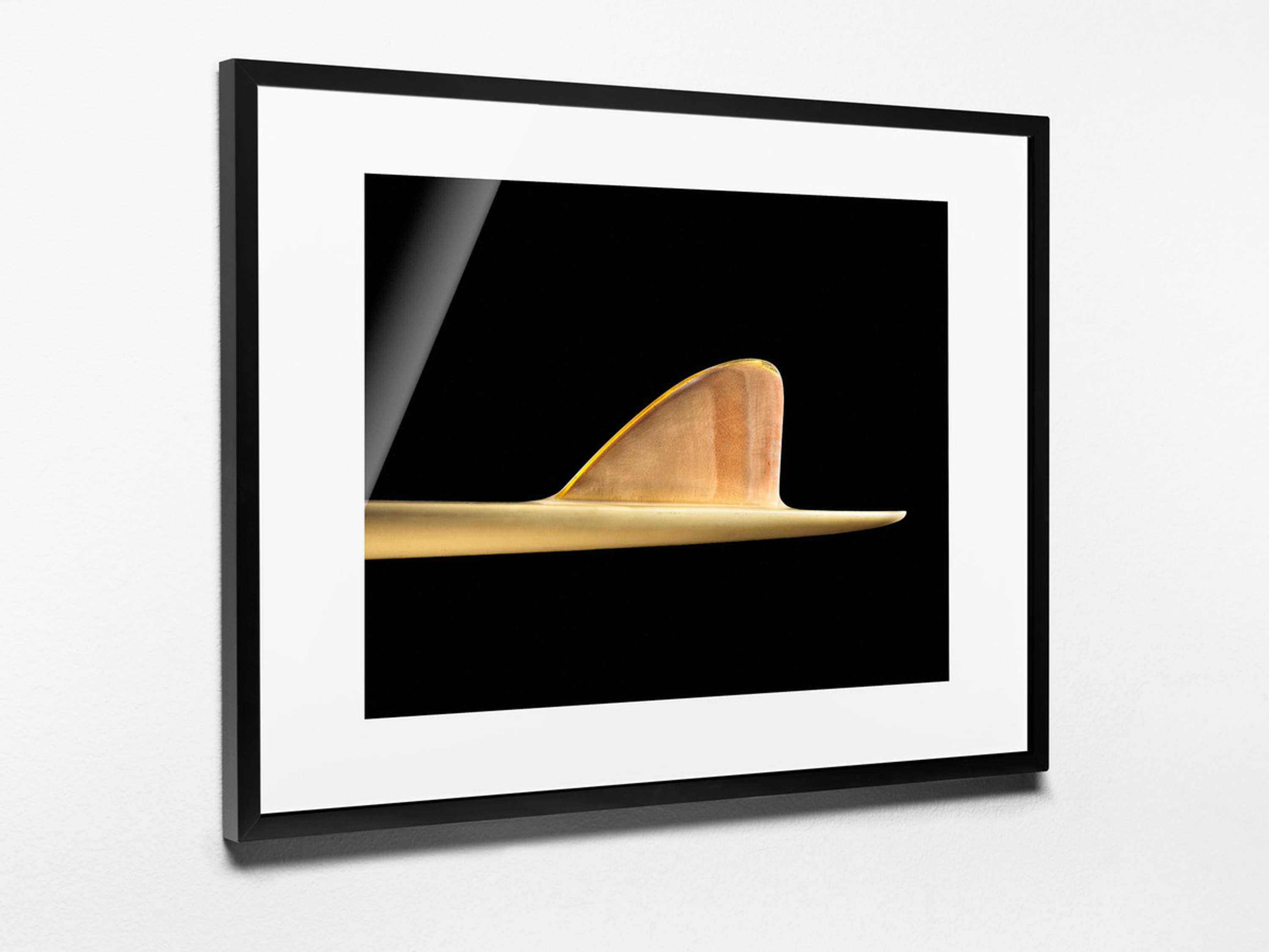 Fin Project / Timothy Hogan by Morgan Lockyer