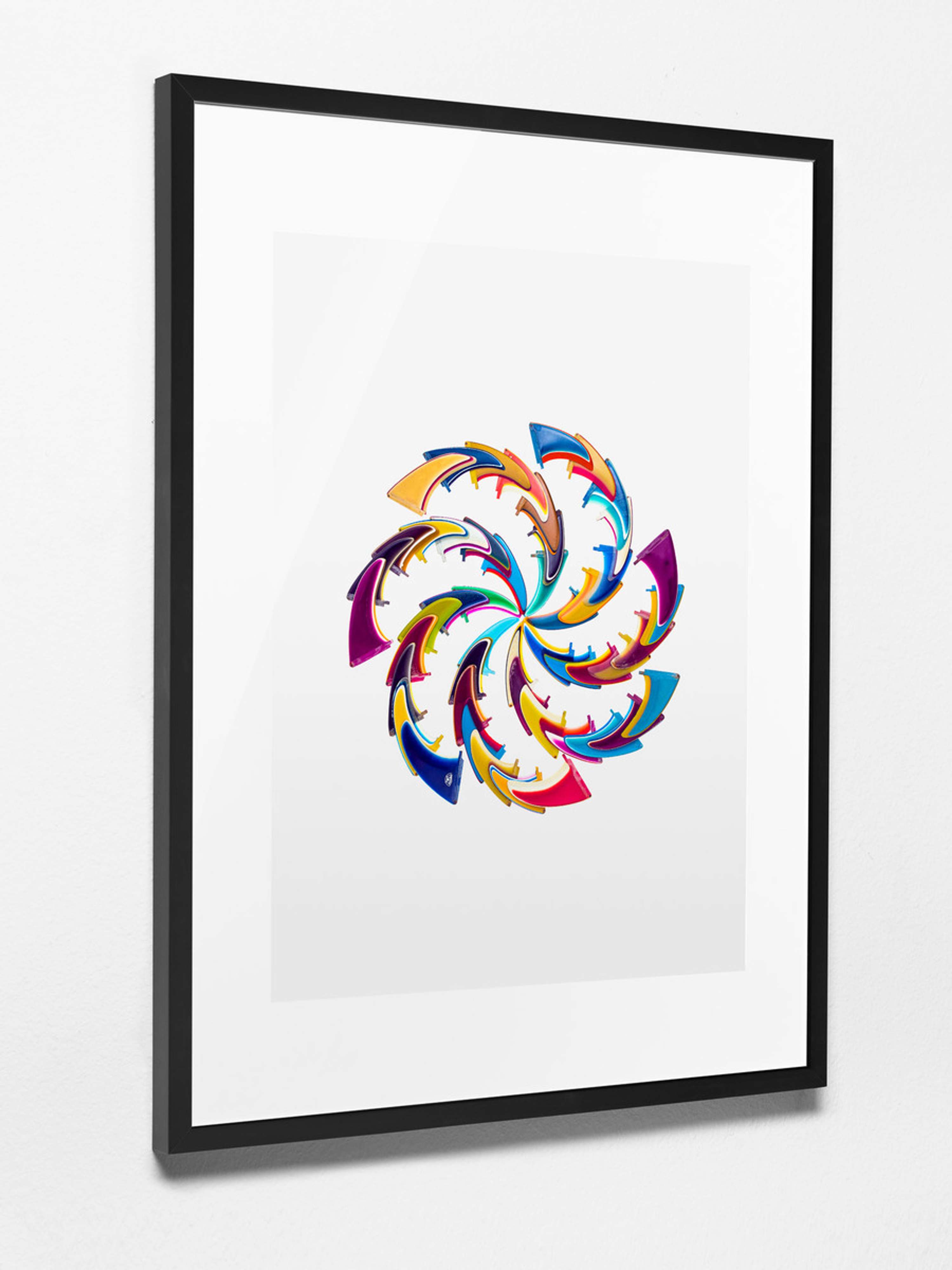 Fin Project / Timothy Hogan by Morgan Lockyer