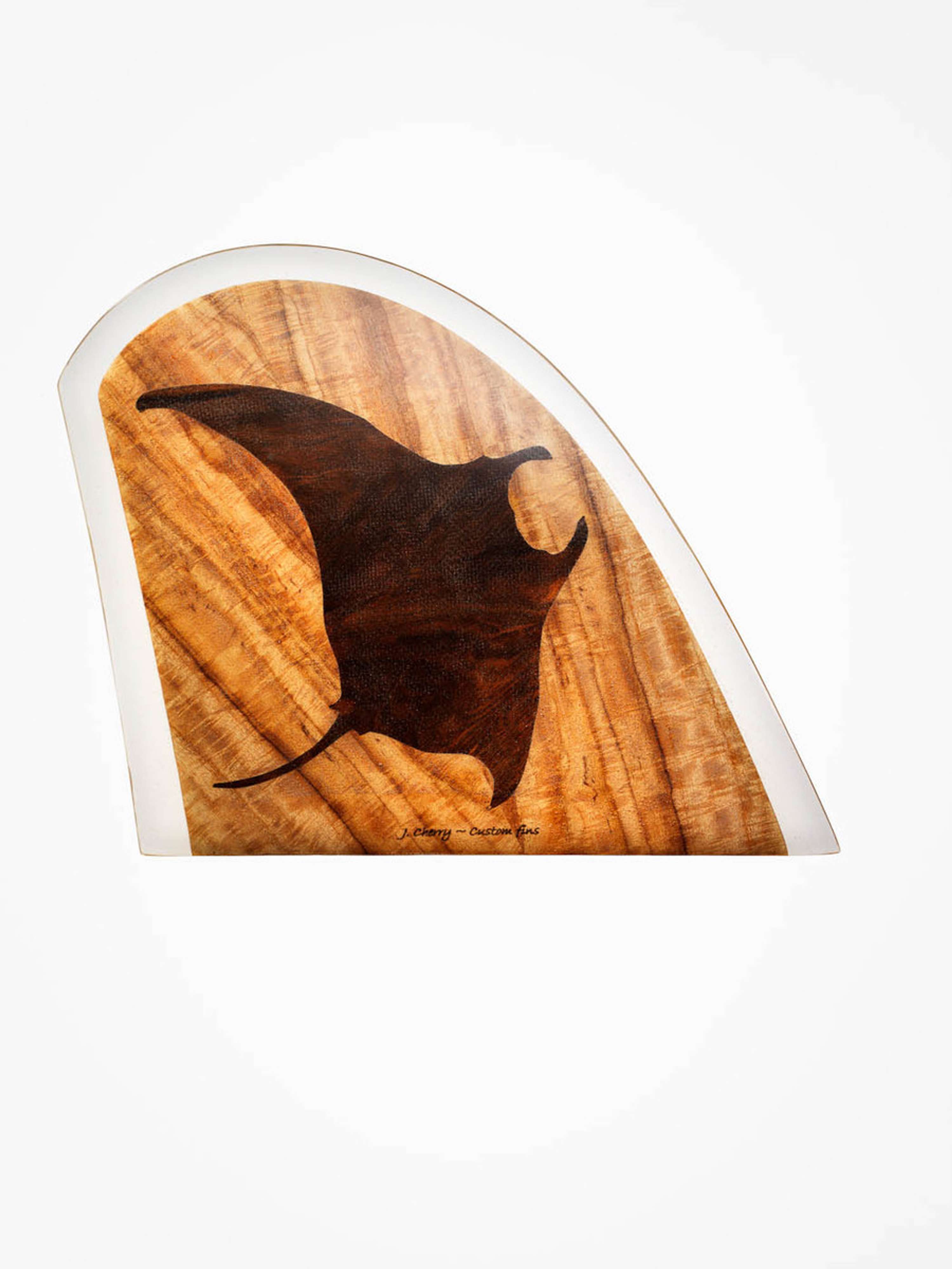 Fin Project / Timothy Hogan by Morgan Lockyer