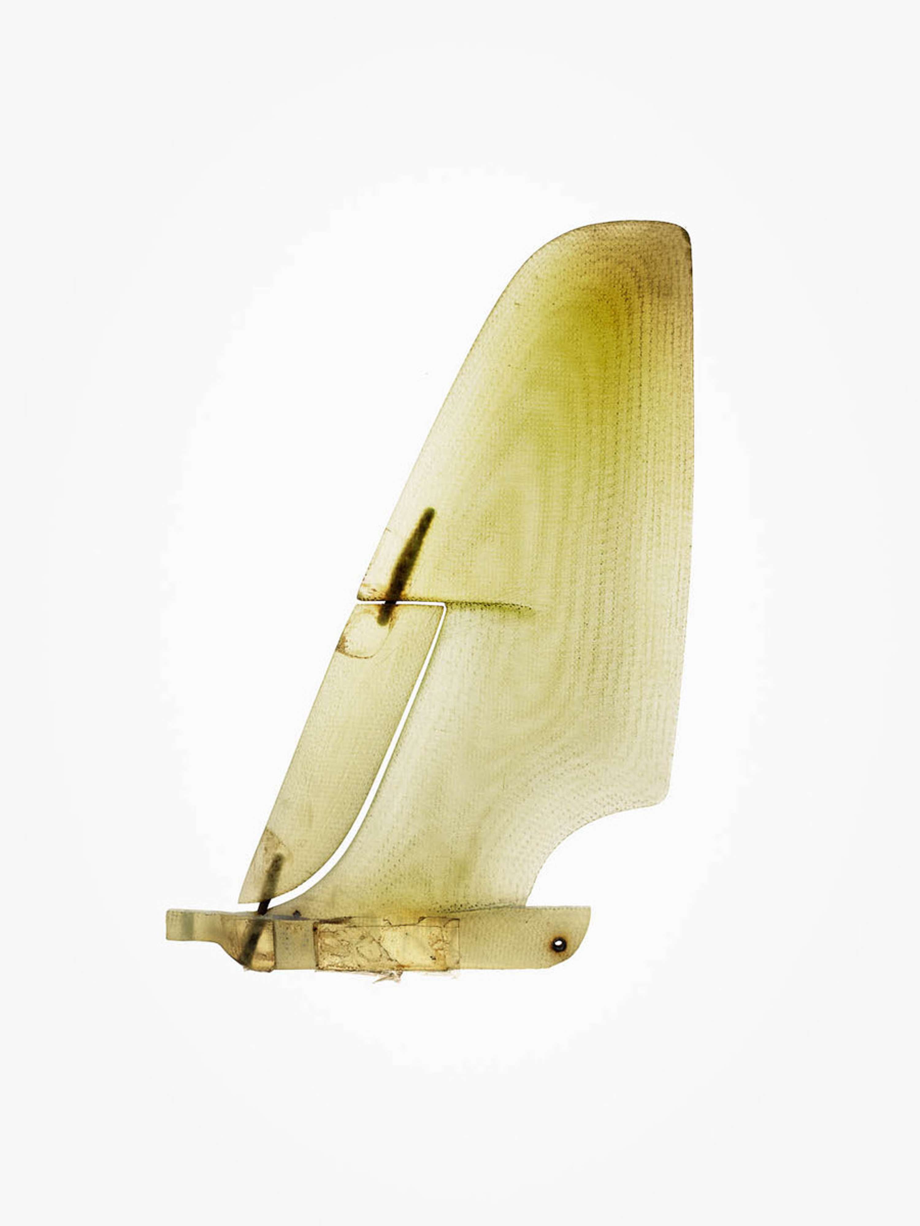 Fin Project / Timothy Hogan by Morgan Lockyer