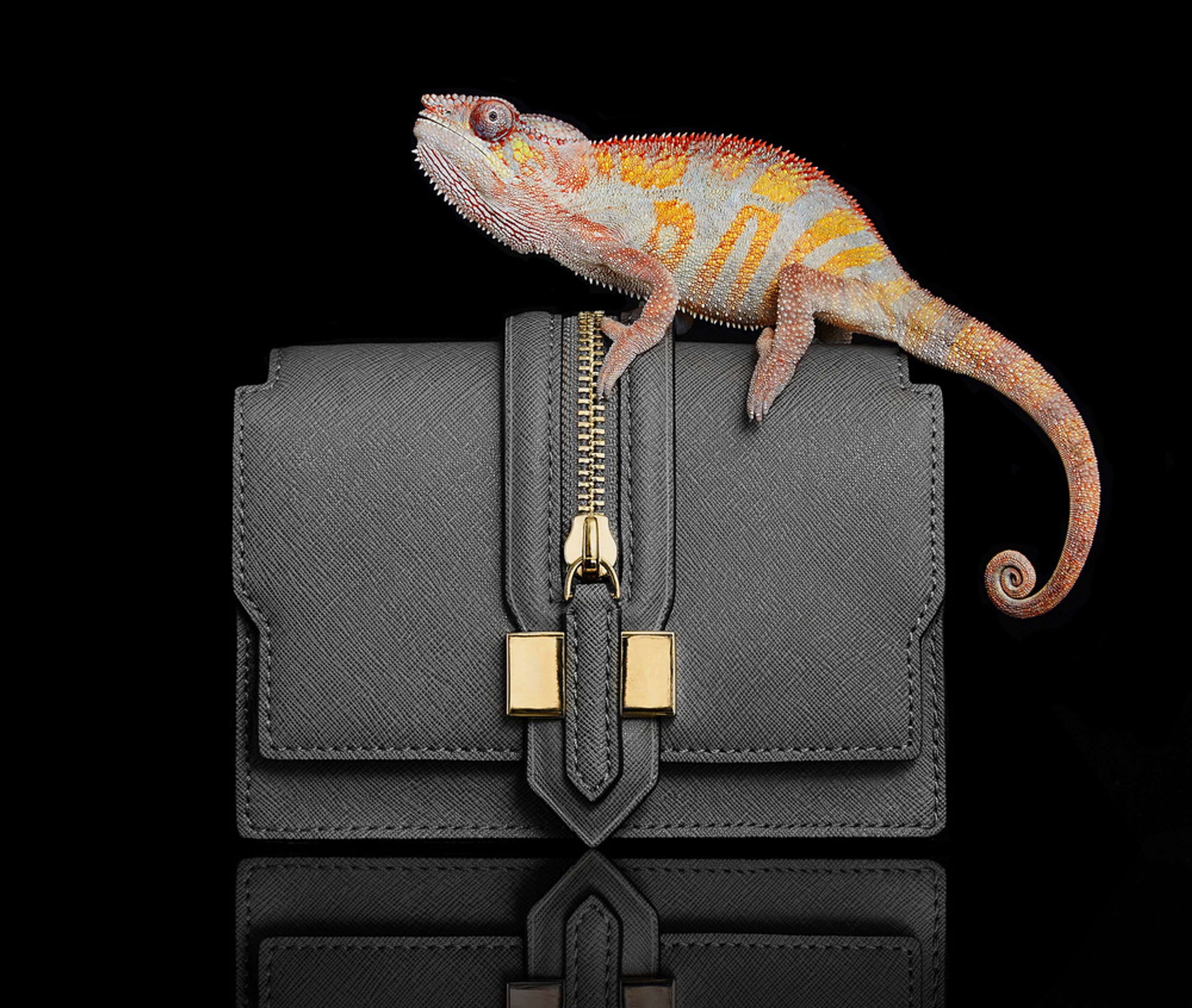 Reptiles by Josh Caudwell
