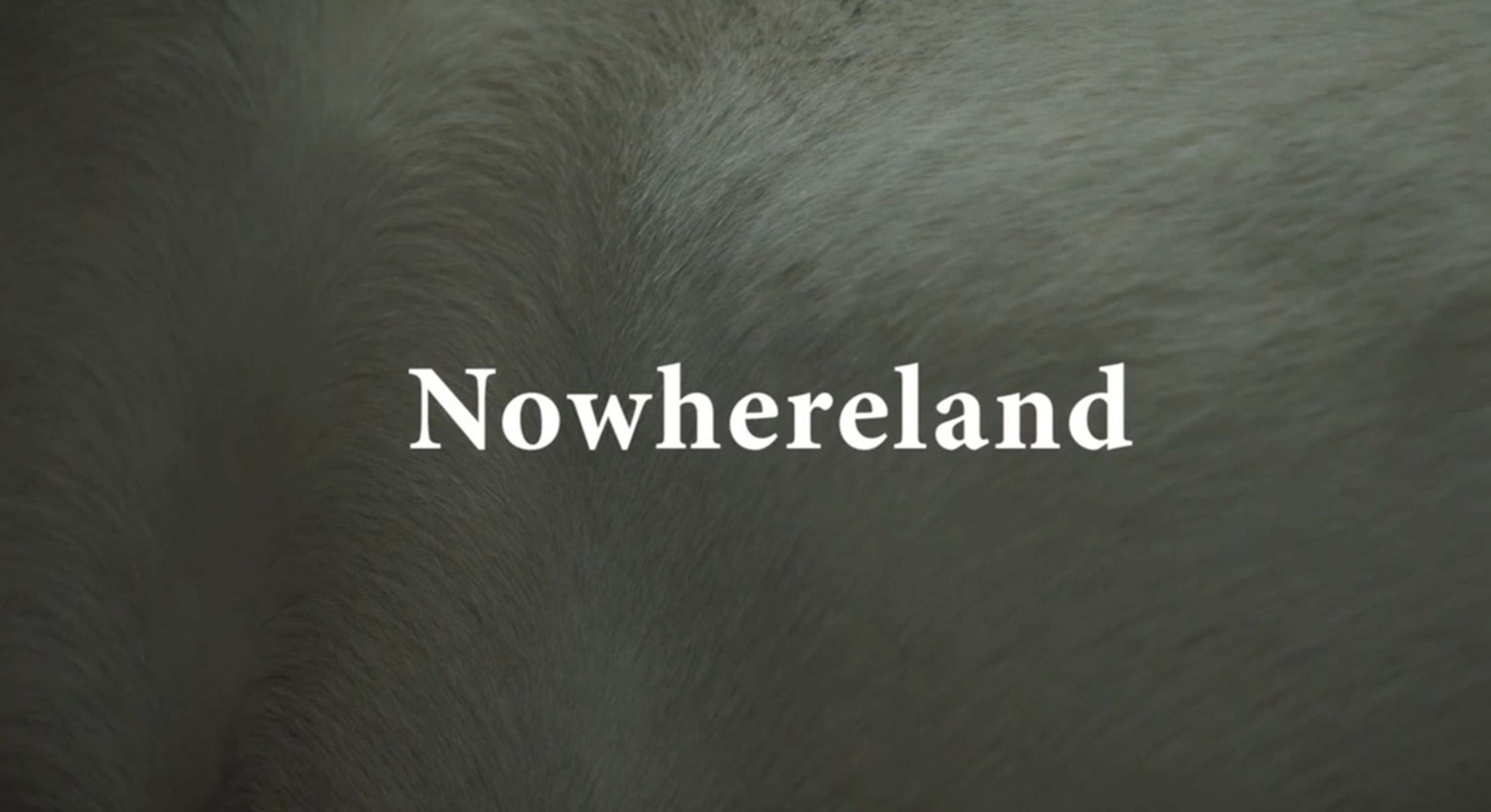 Nowhereland by Sonia Castillo Studio