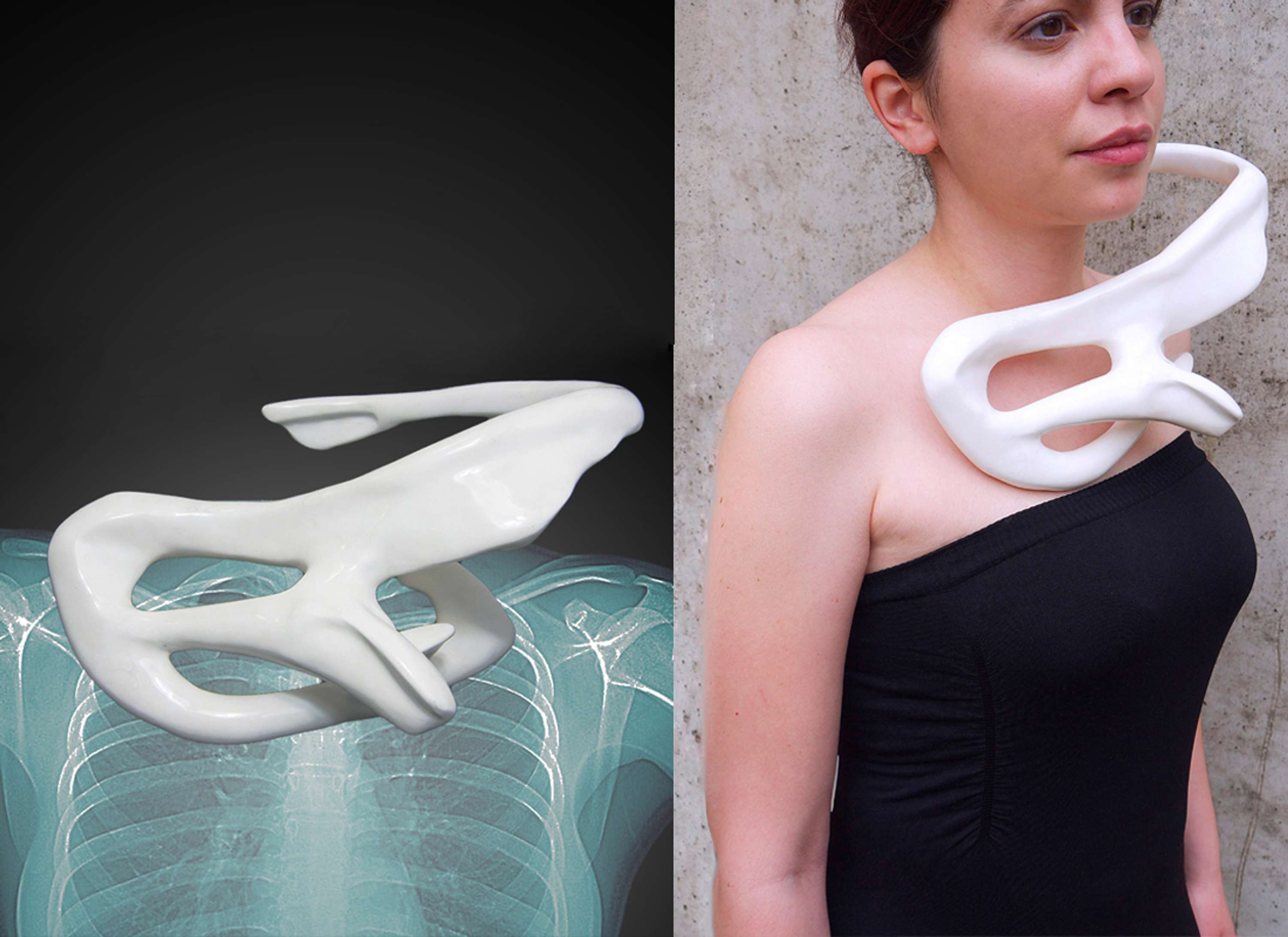 +Bones by Eleni Zolia