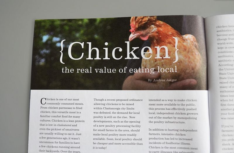 Tastebuds Magazine by Bryony Macintyre