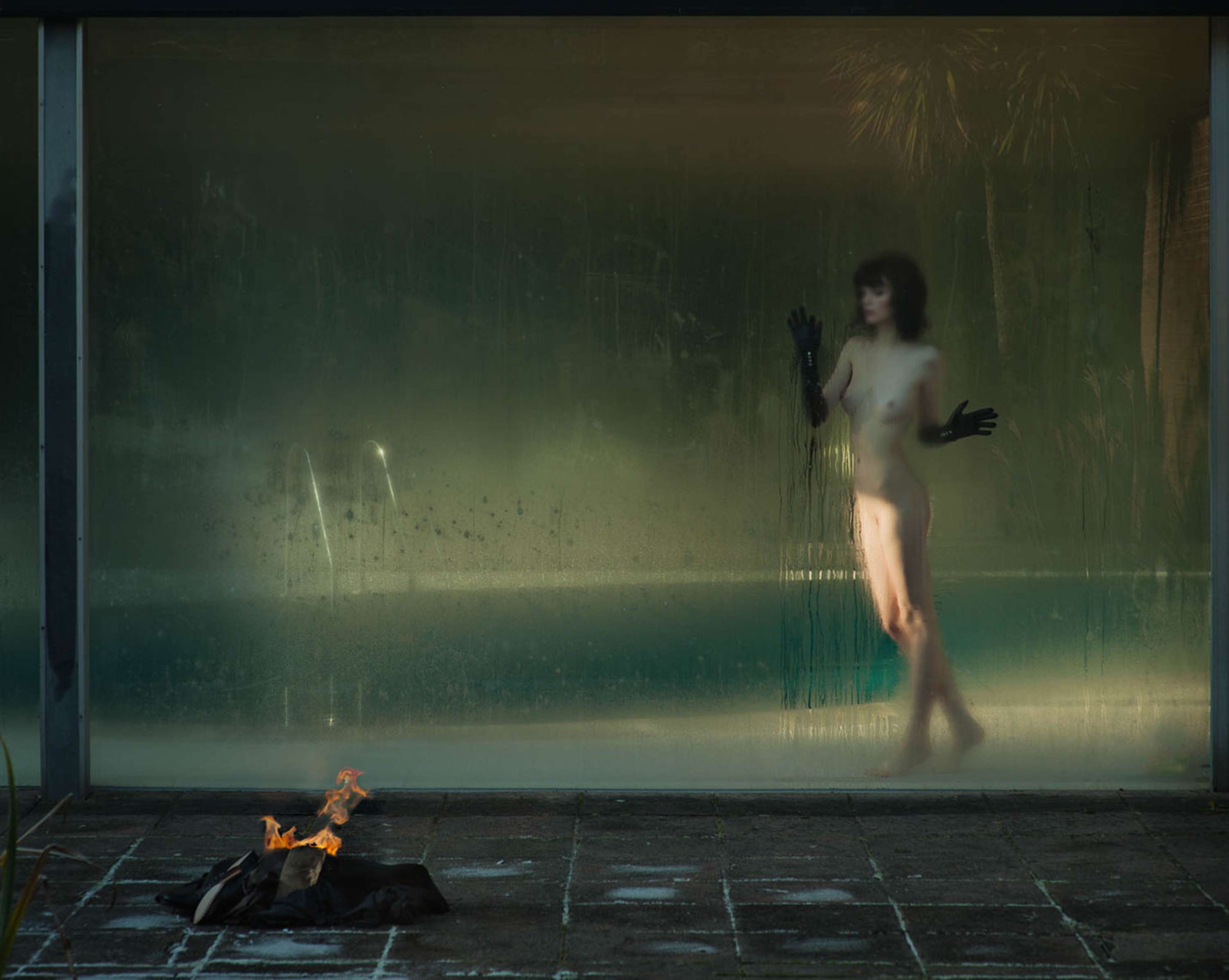 The Capgras Invocation by Marc Rogoff