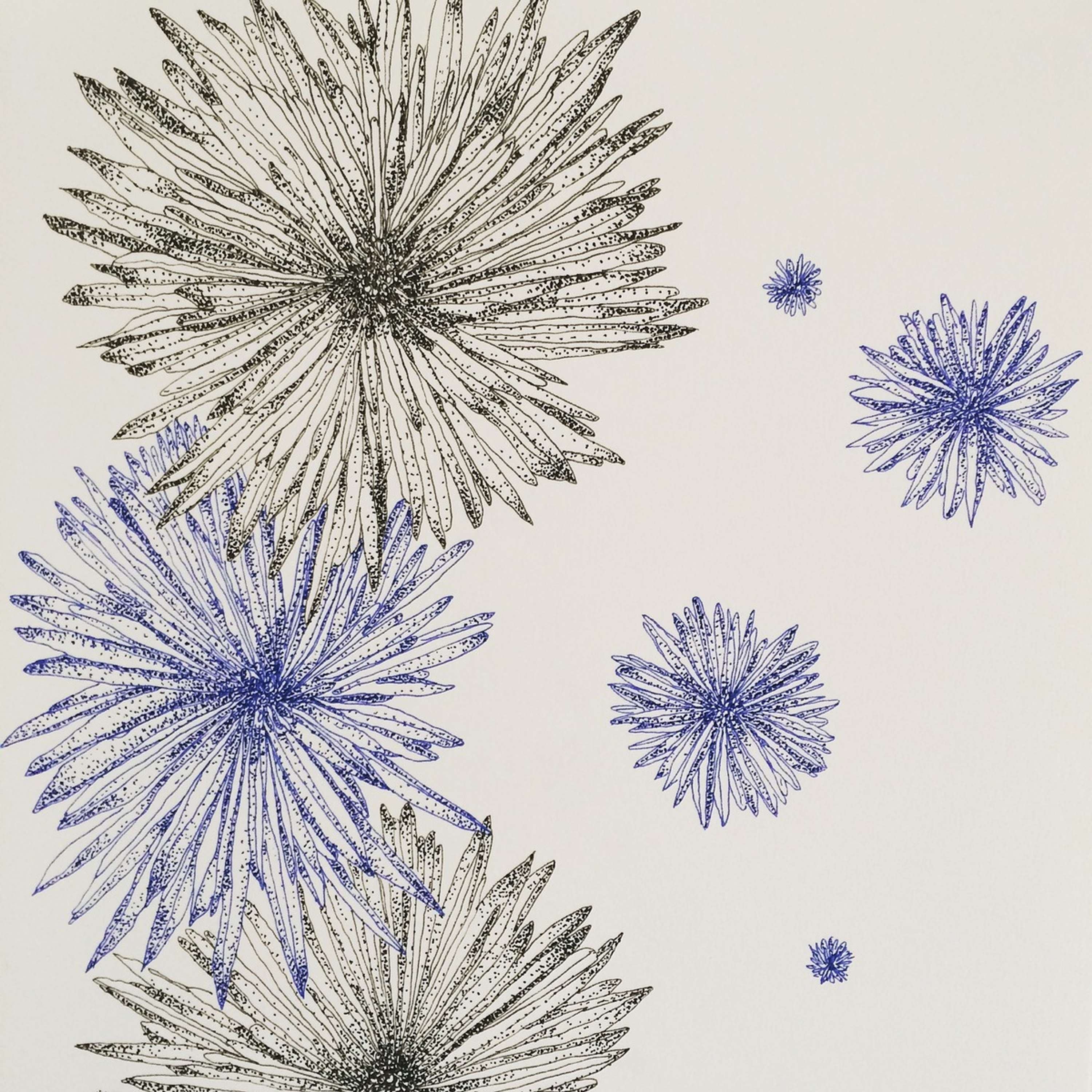Pattern design by Anka Dabrowska