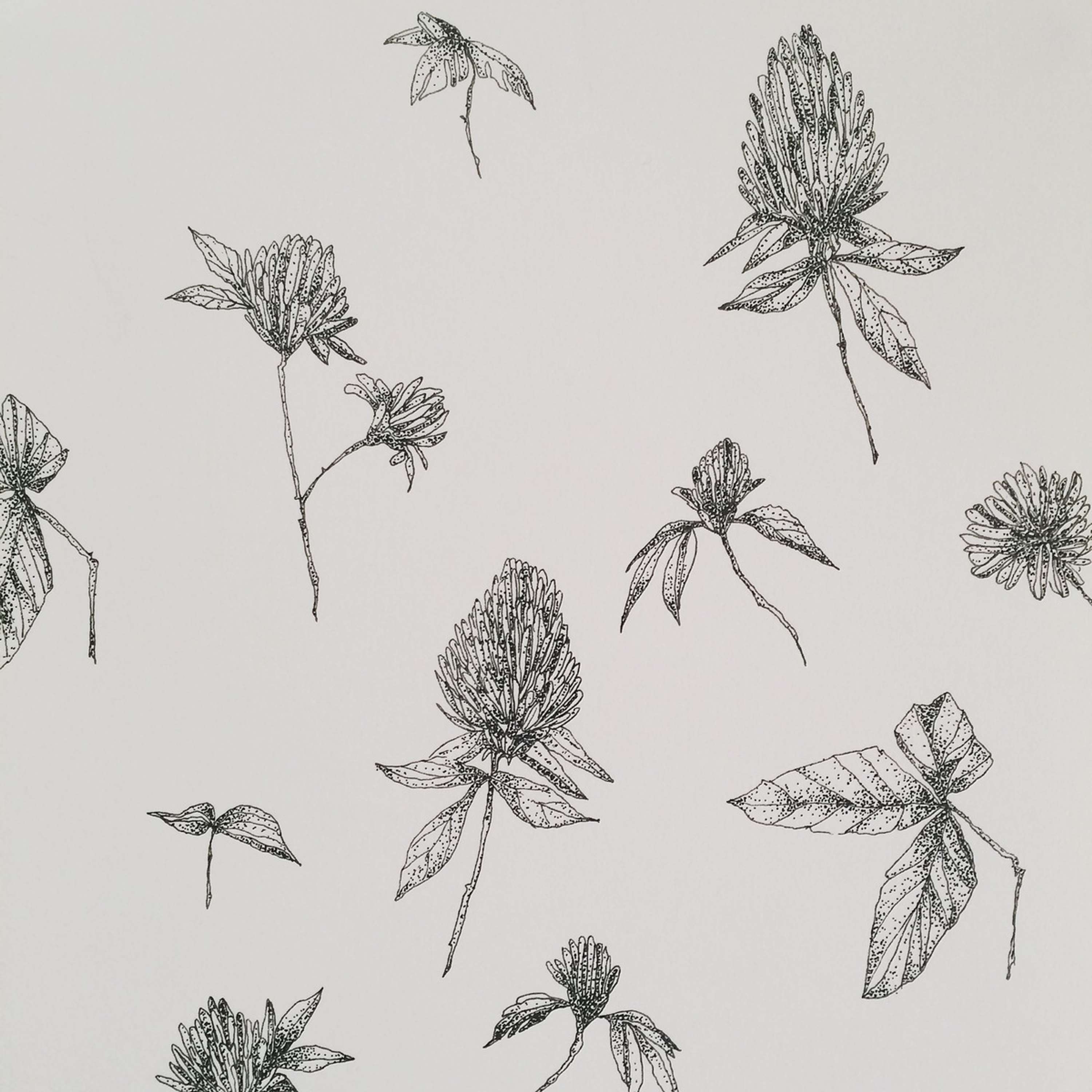 Pattern design by Anka Dabrowska