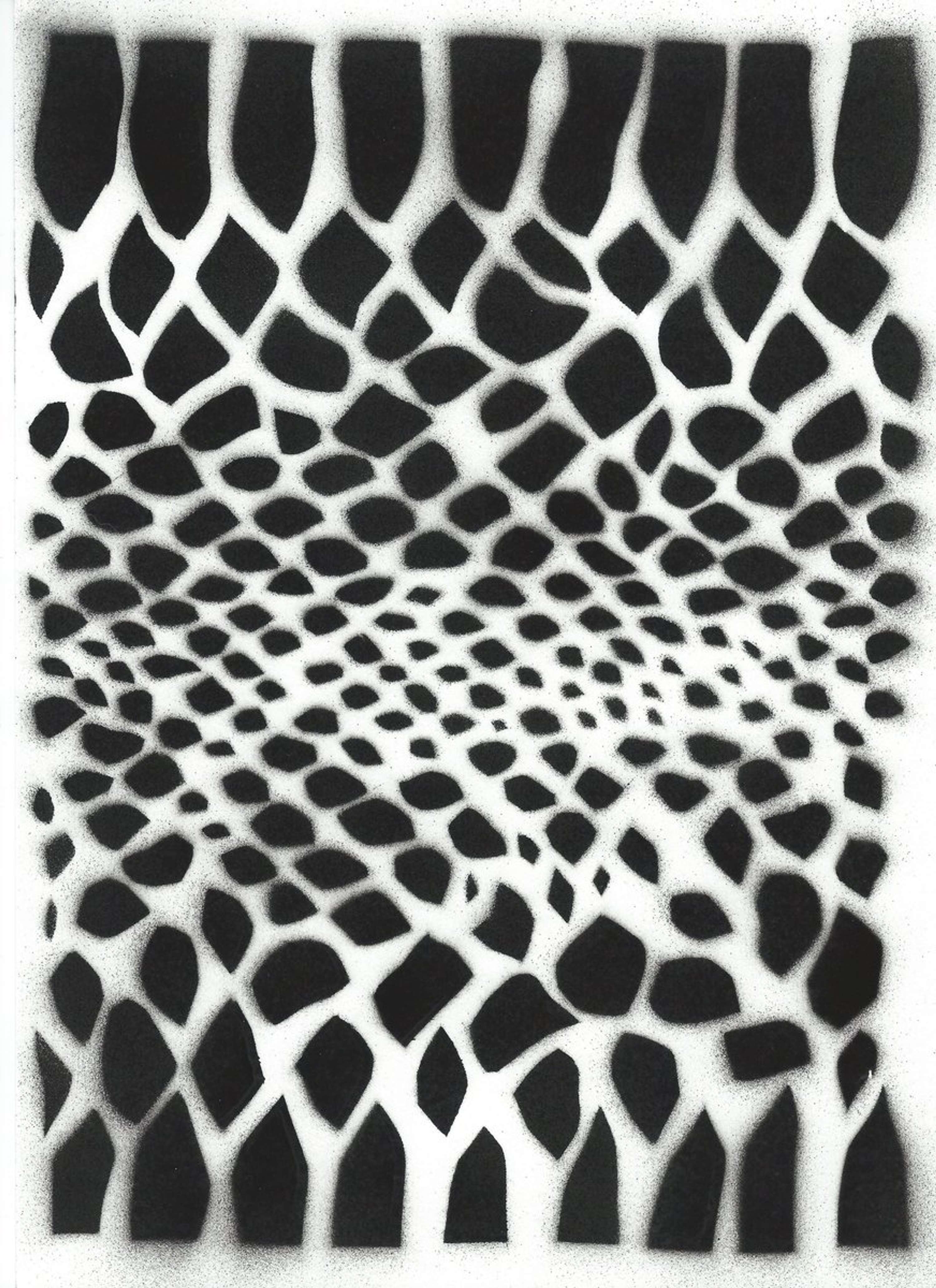 Pattern design by Anka Dabrowska