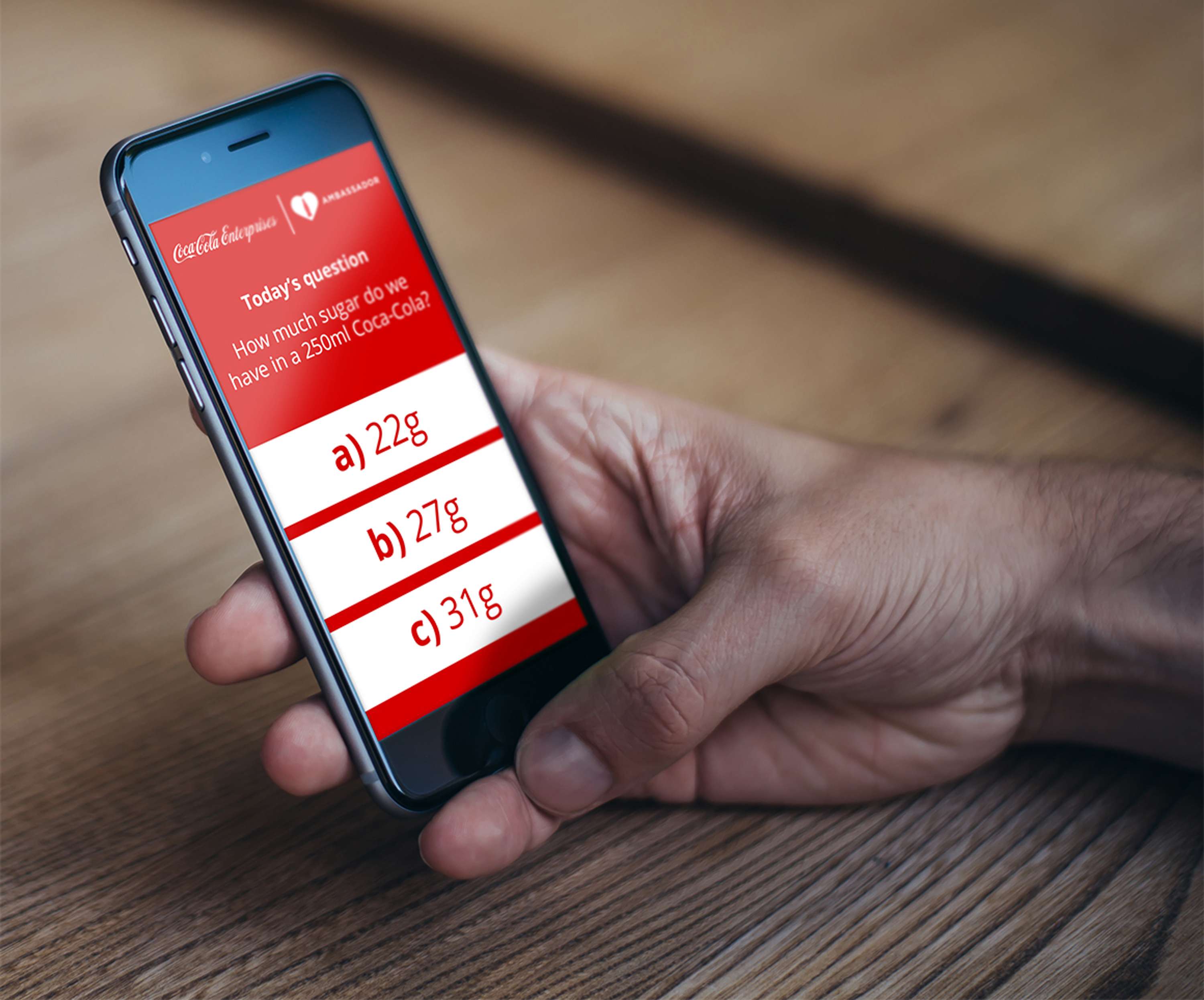 Coca Cola Enterprises E-Learning by Antonio Pratas