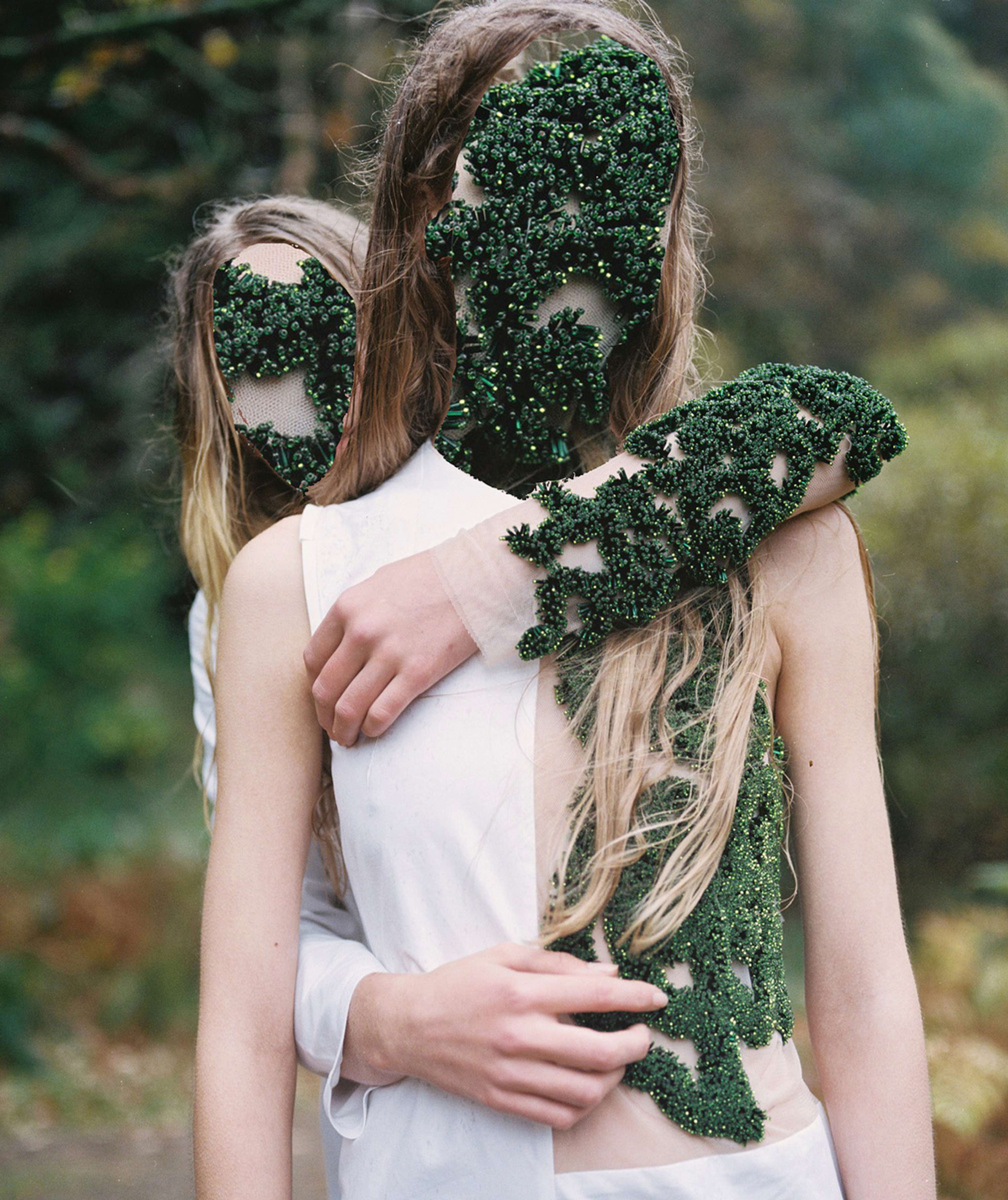 Bloom by Andrew Nuding