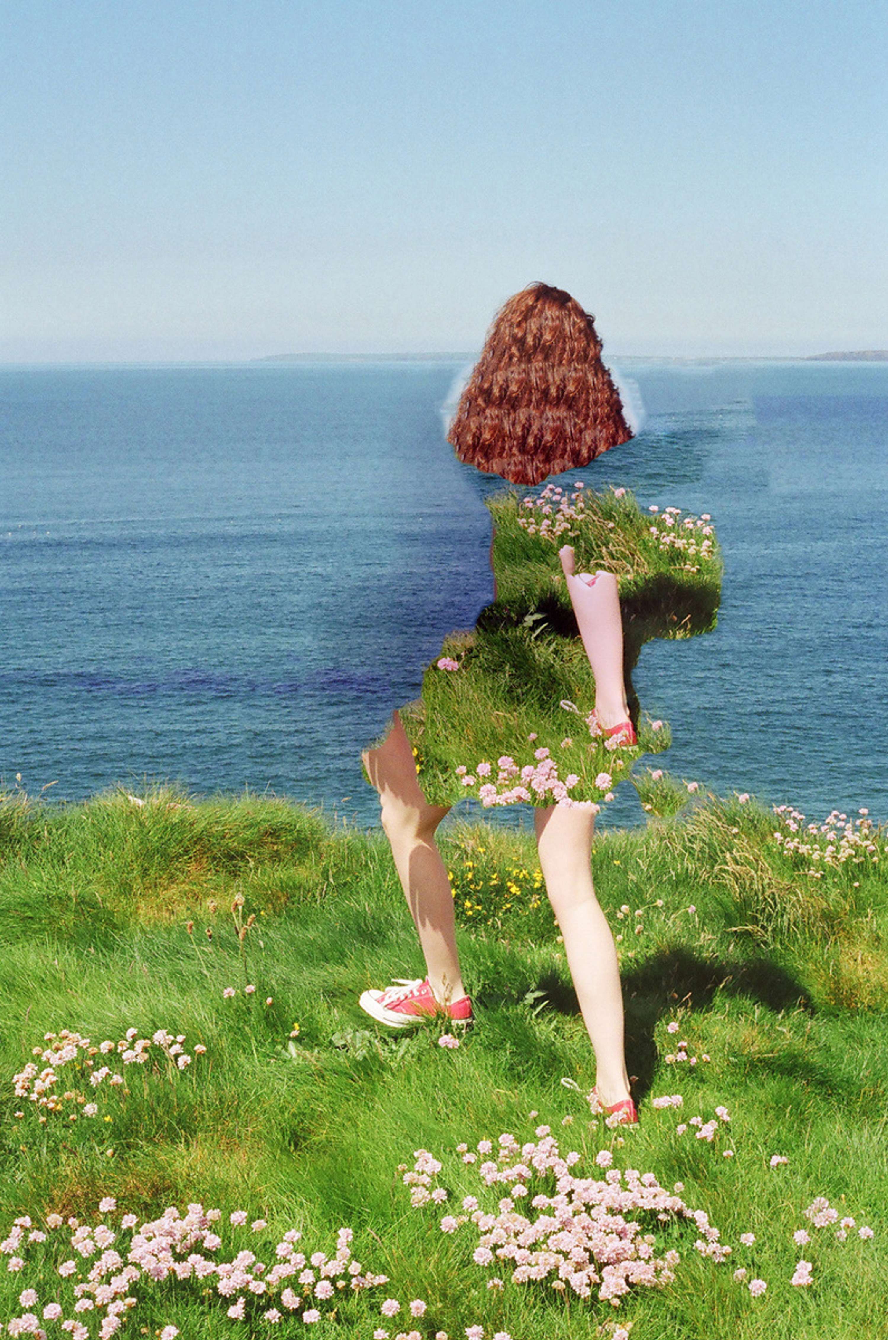 Bloom by Andrew Nuding