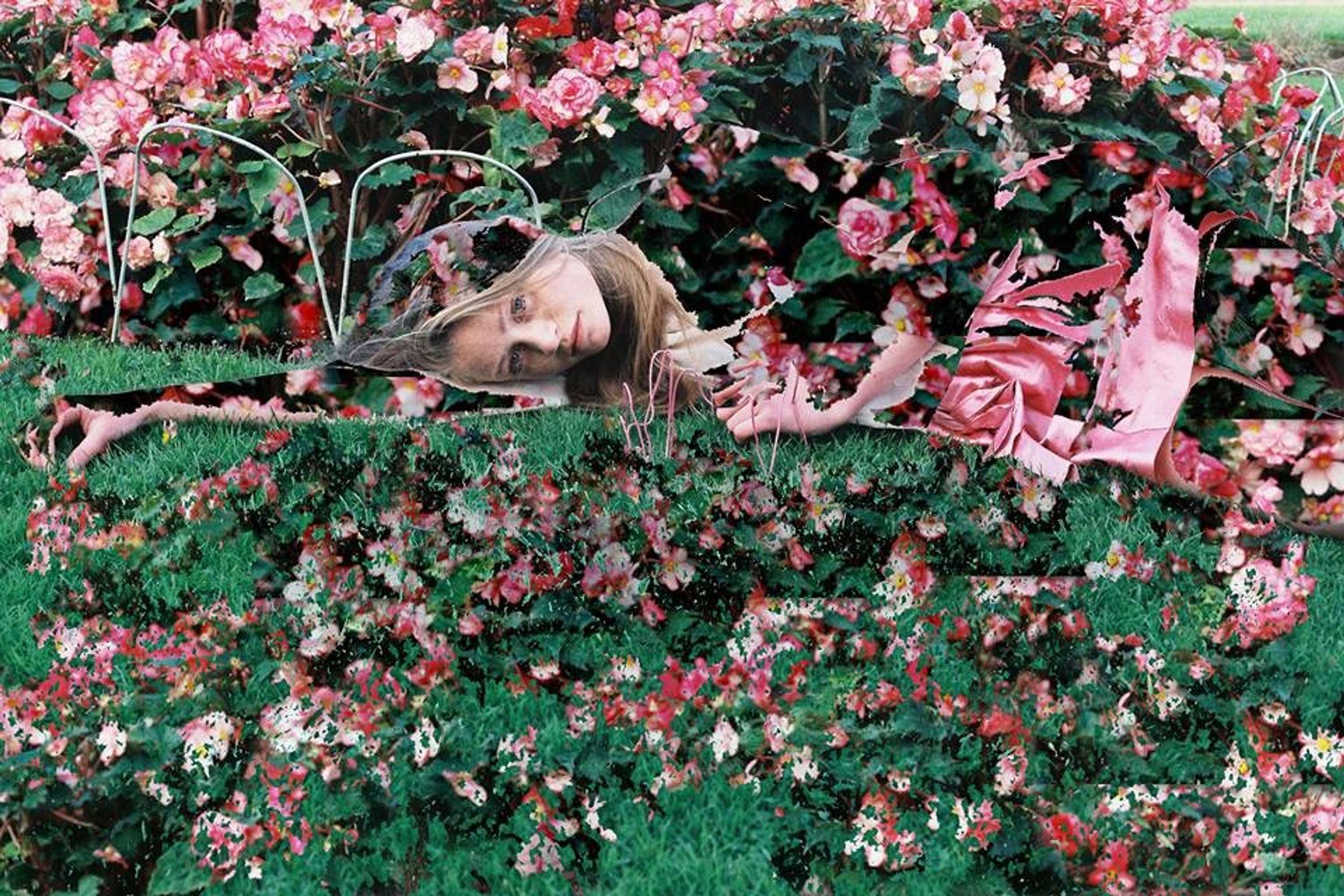 Bloom by Andrew Nuding