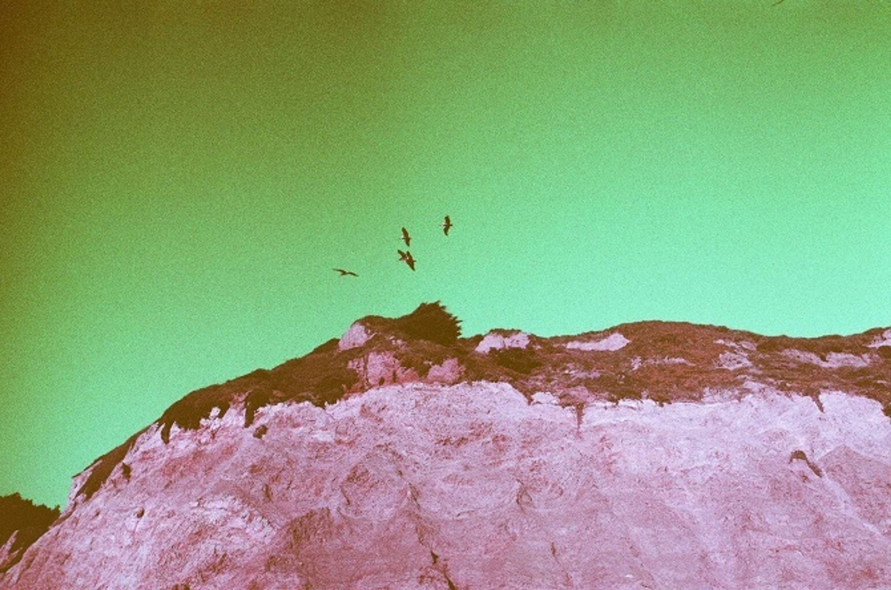 Tripping on Infrared - California series by Adam K Popli