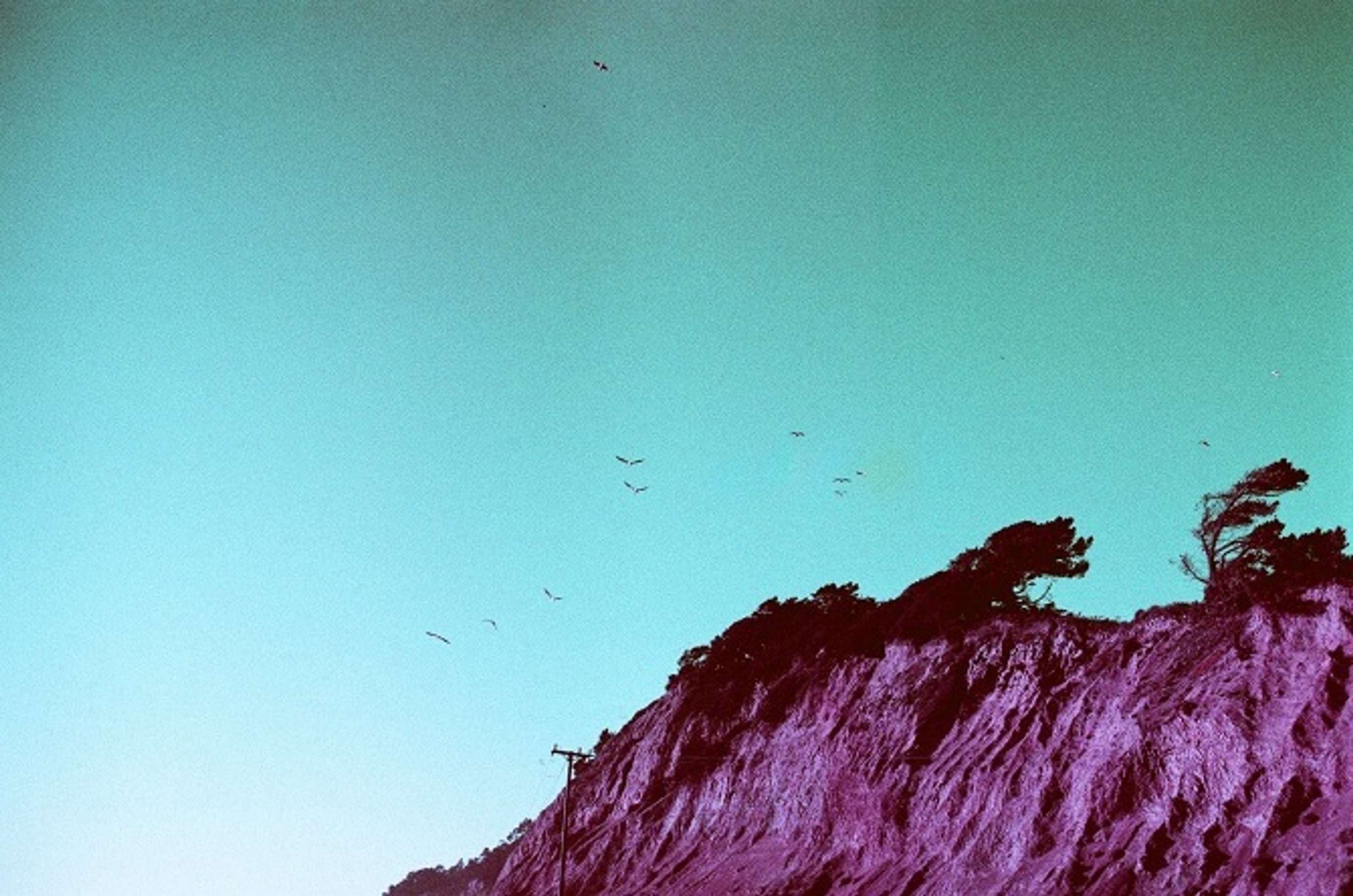 Tripping on Infrared - California series by Adam K Popli
