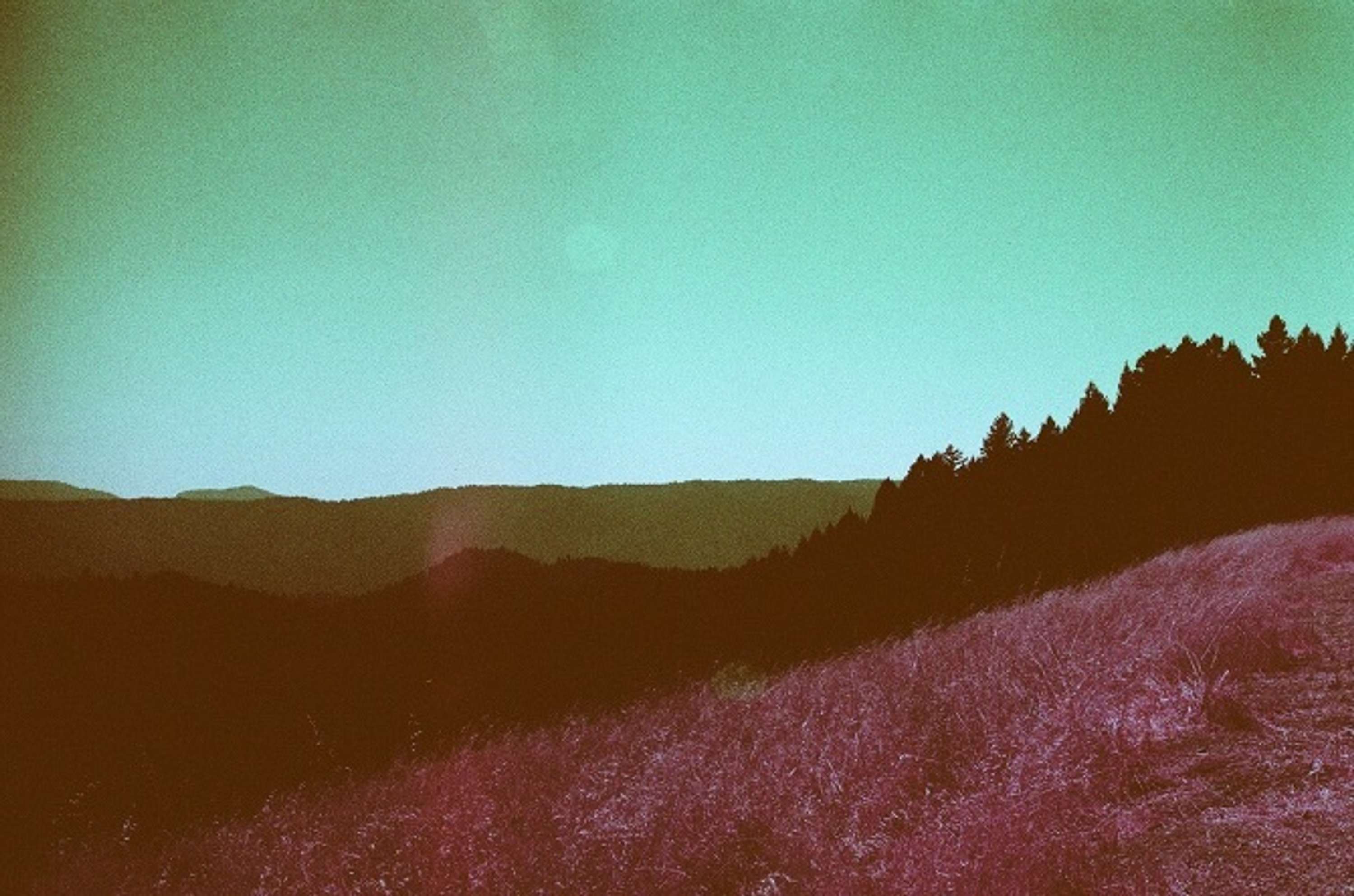 Tripping on Infrared - California series by Adam K Popli