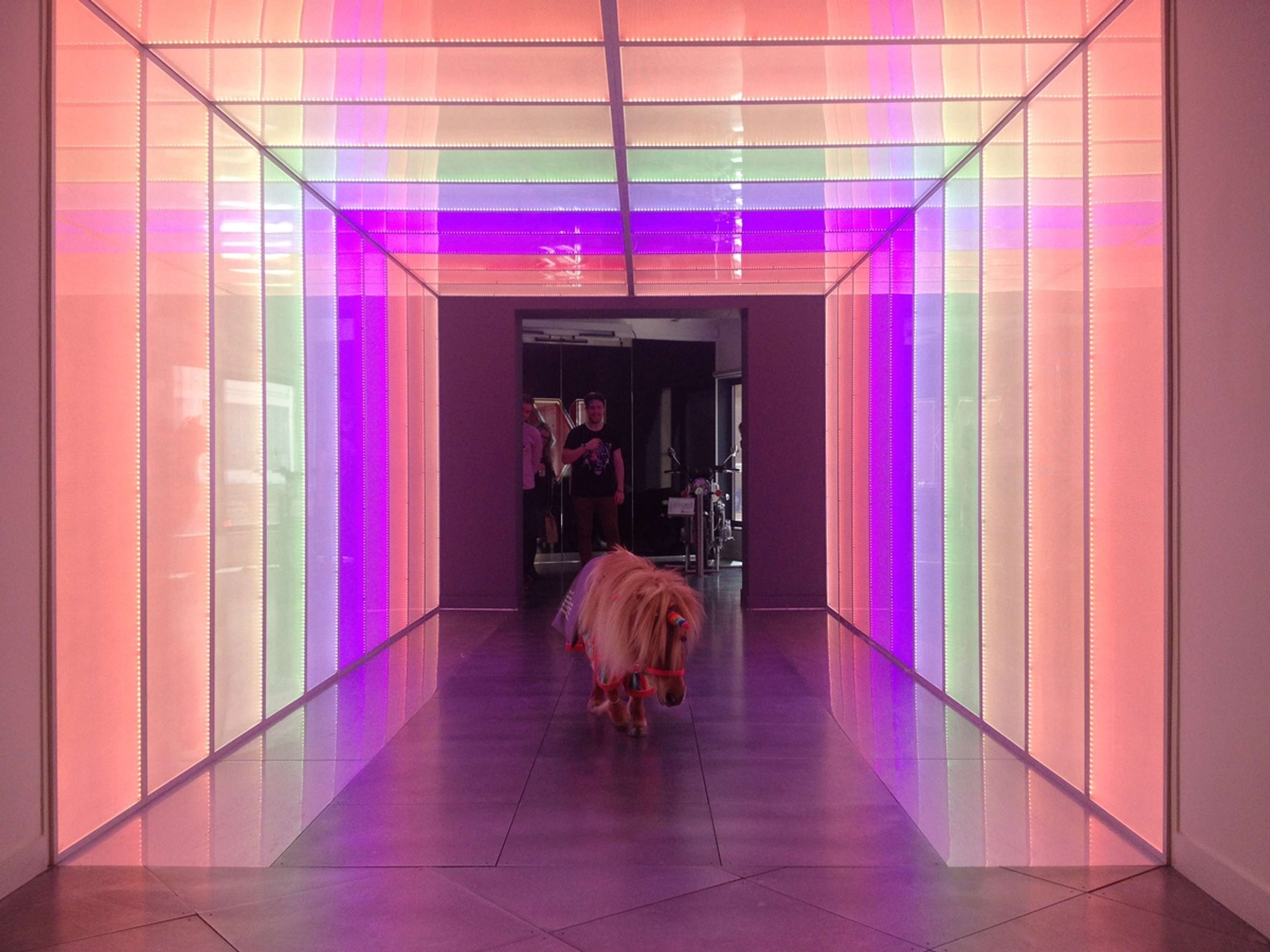Bjorn the Unicorn by NABS
