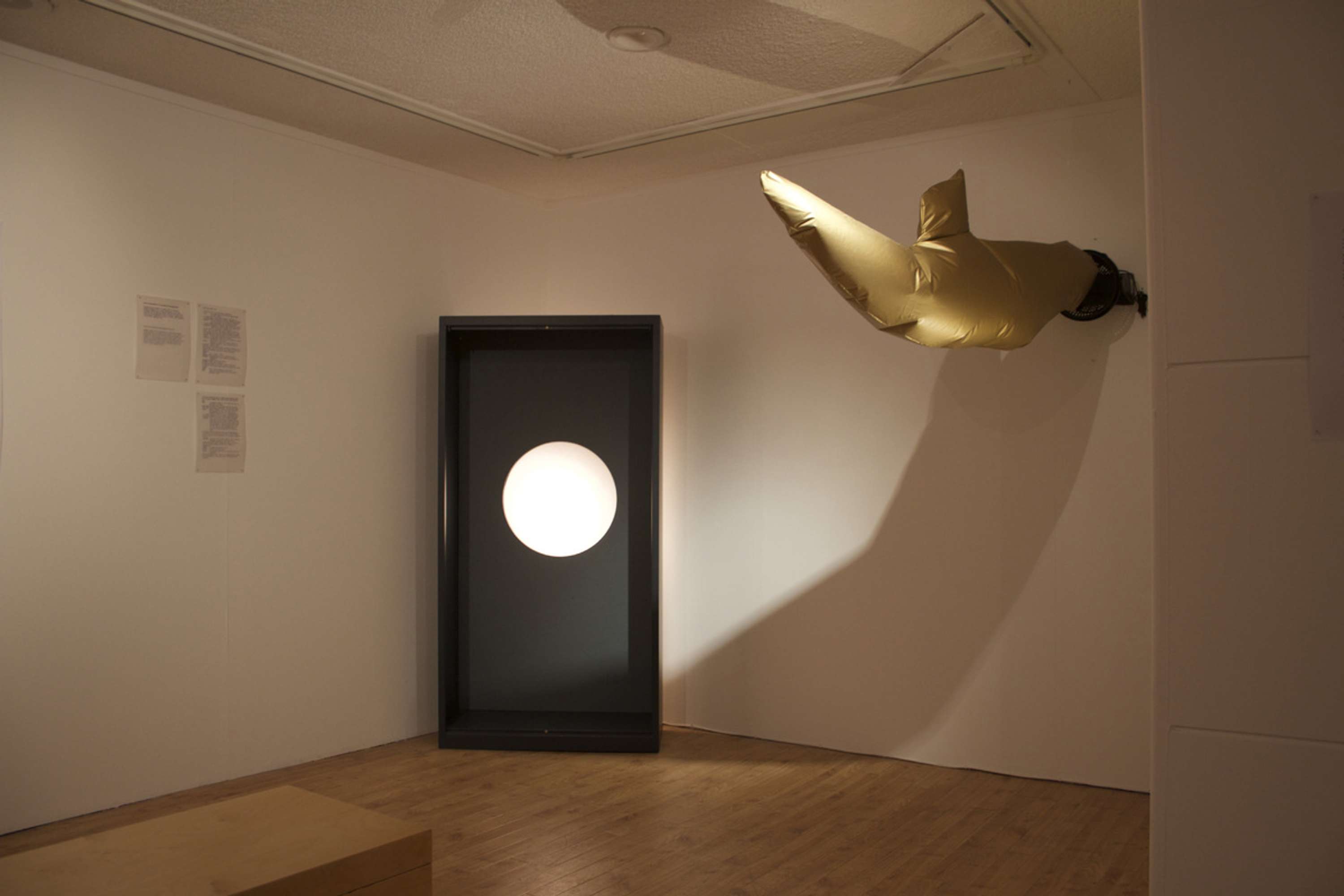 The Inflatable Archive by Claire Orme