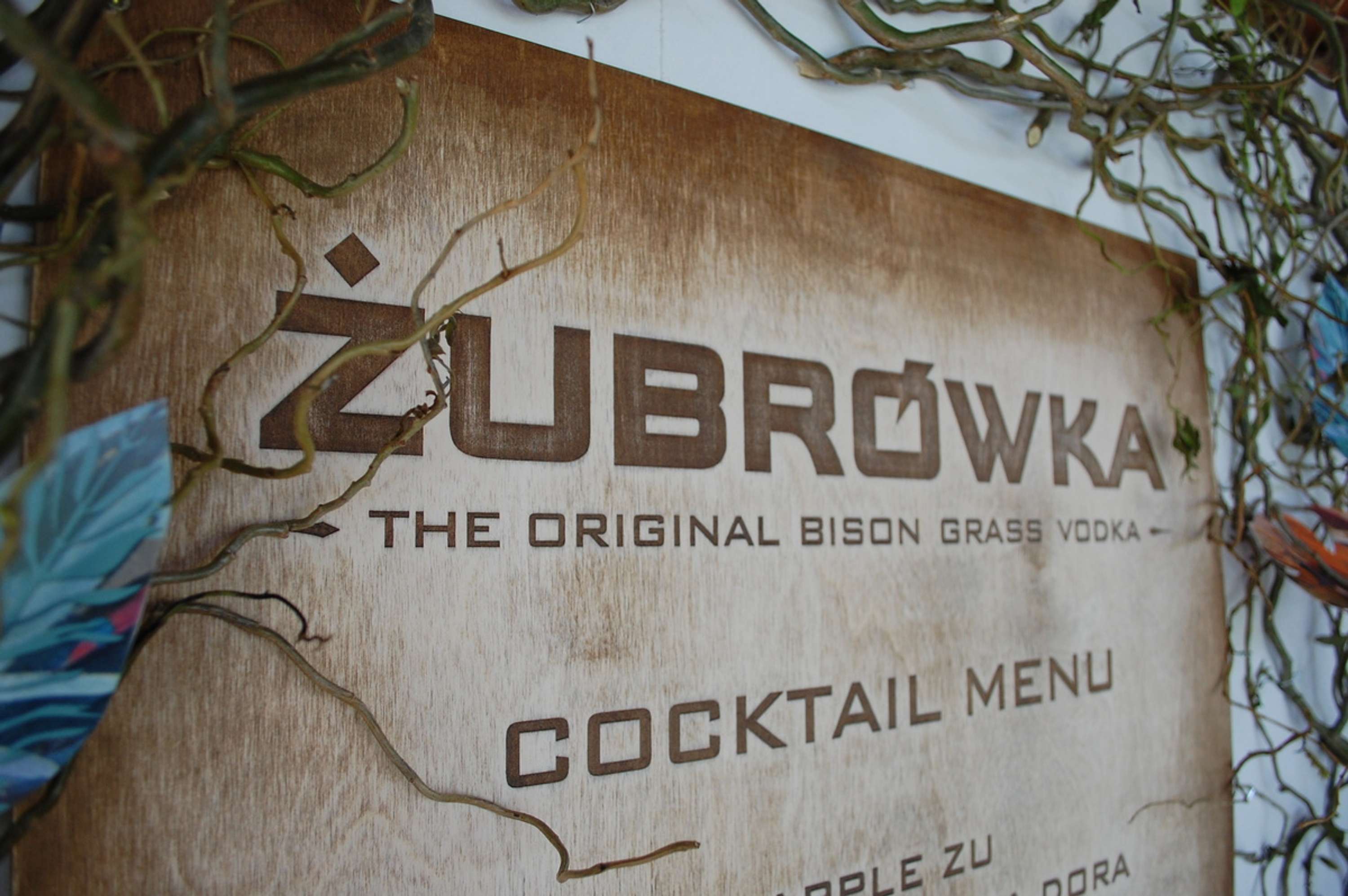 ZUBROWKA by amy angold